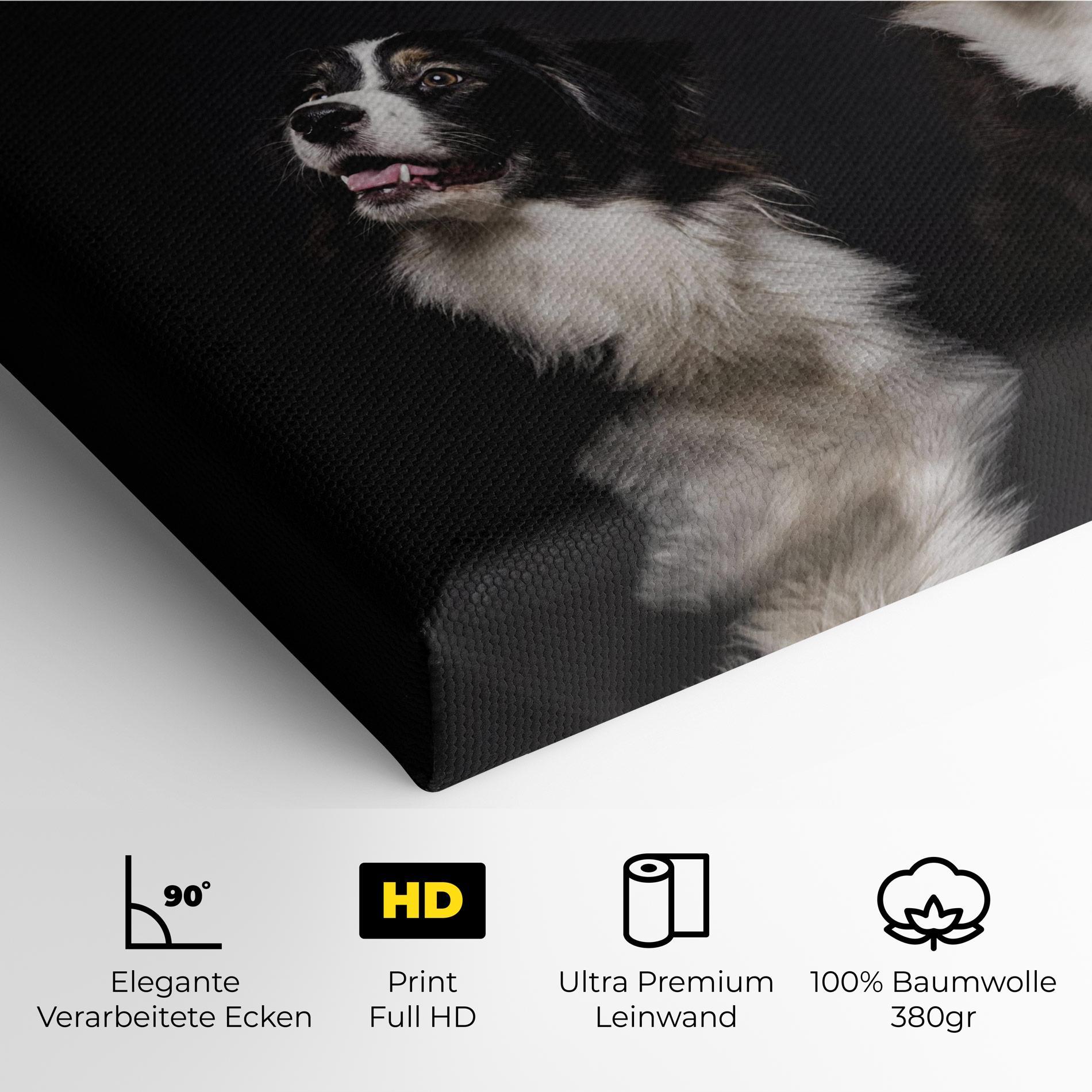 Leinwandbild Cute Dogs Standing mockup 4