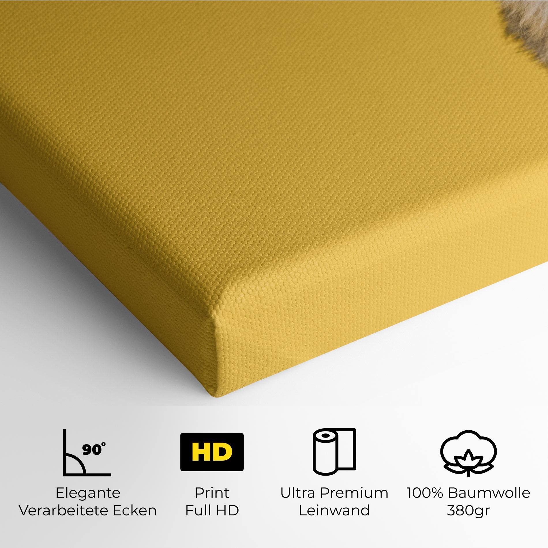 Leinwandbild Cute Smiling Dog mockup 4