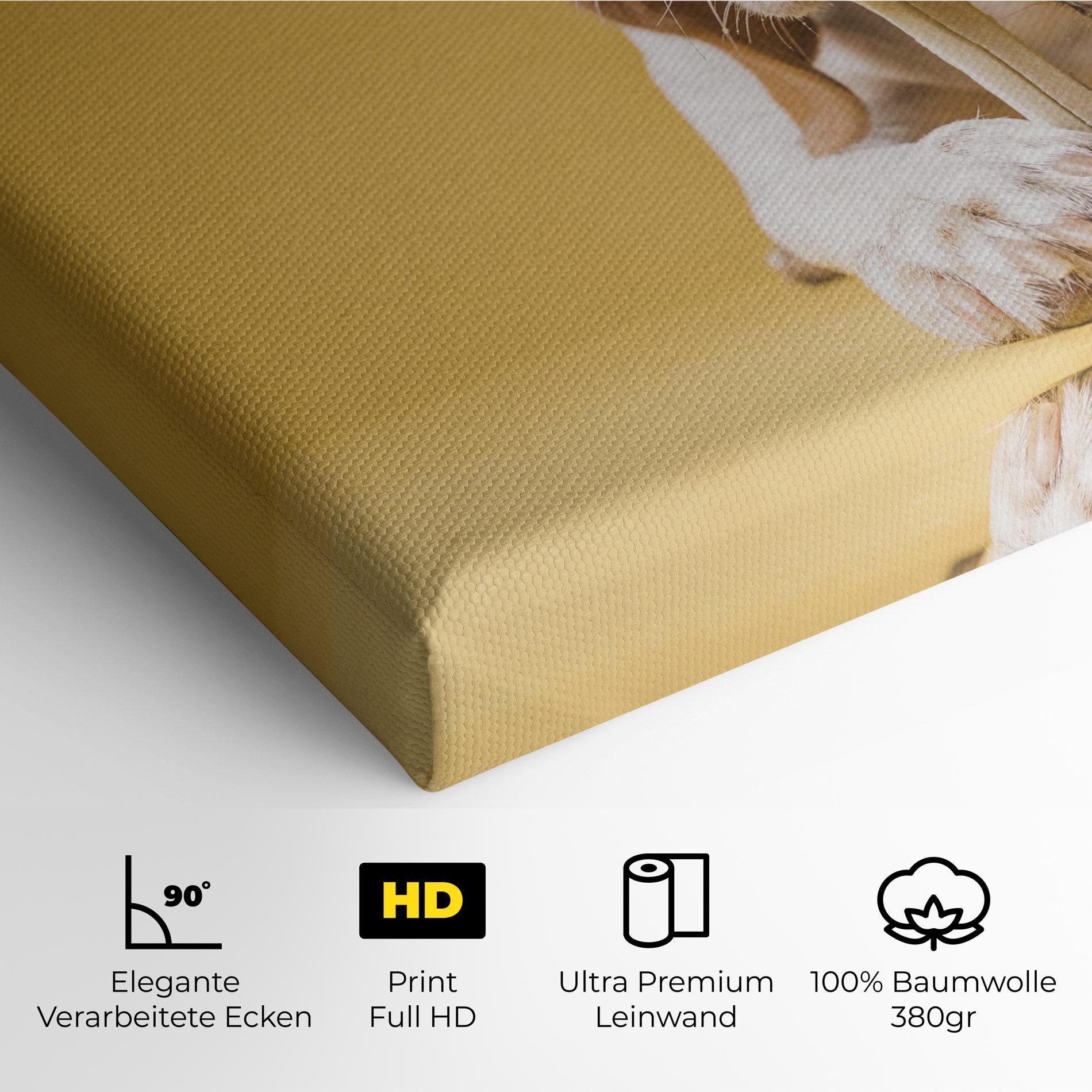 Leinwandbild Dog Eating Bone mockup 4