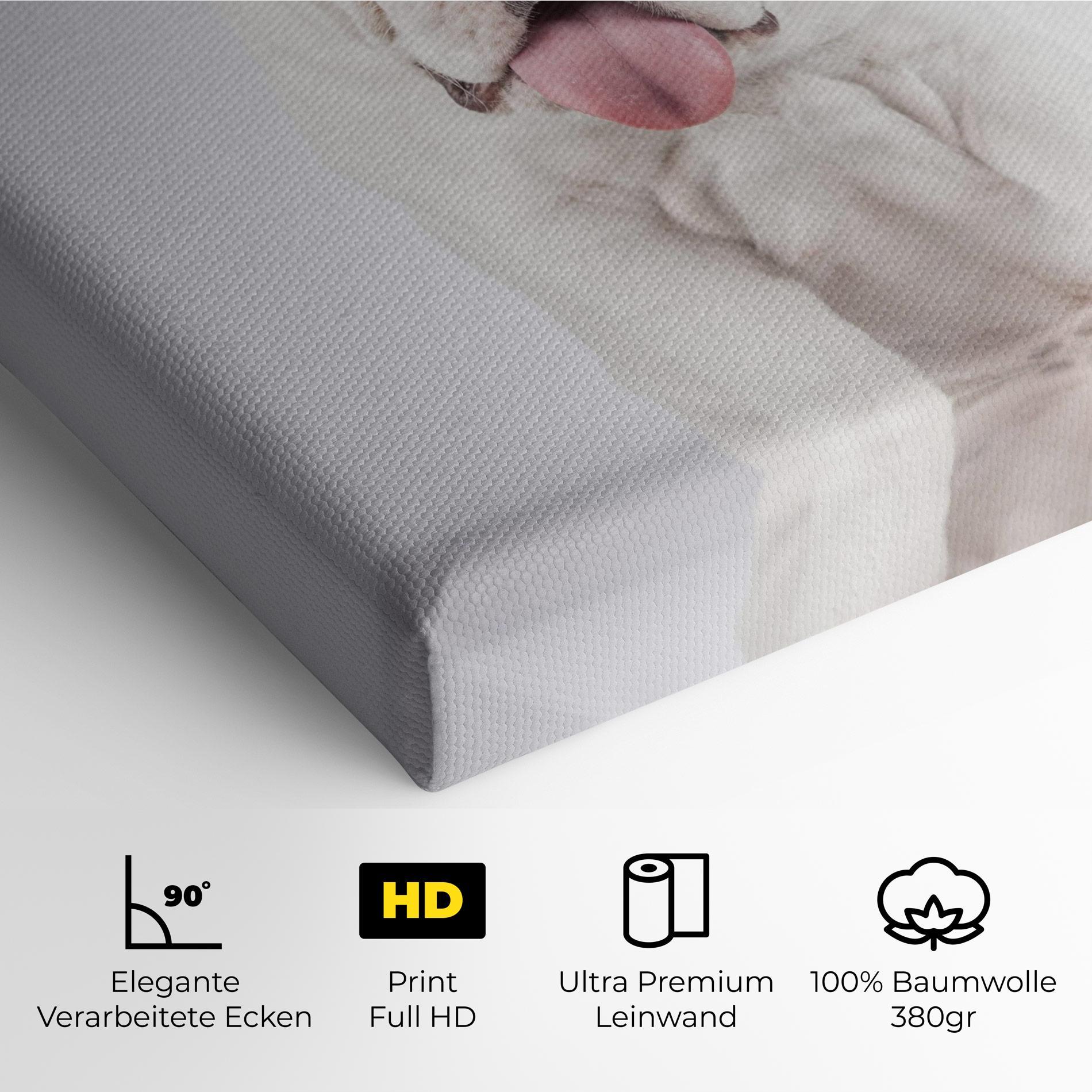 Leinwandbild English Bulldog mockup 4