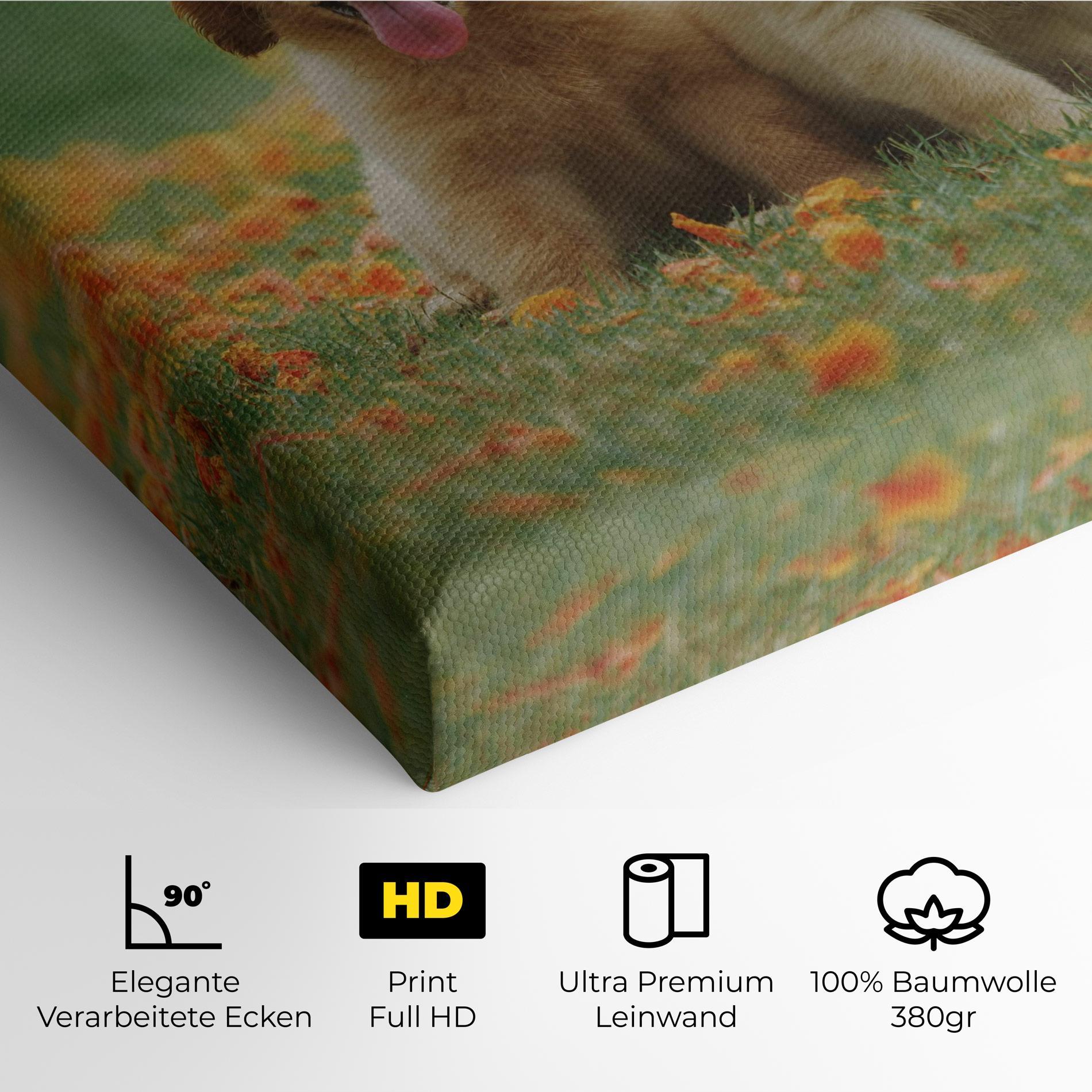 Leinwandbild Happy Dogs mockup 4