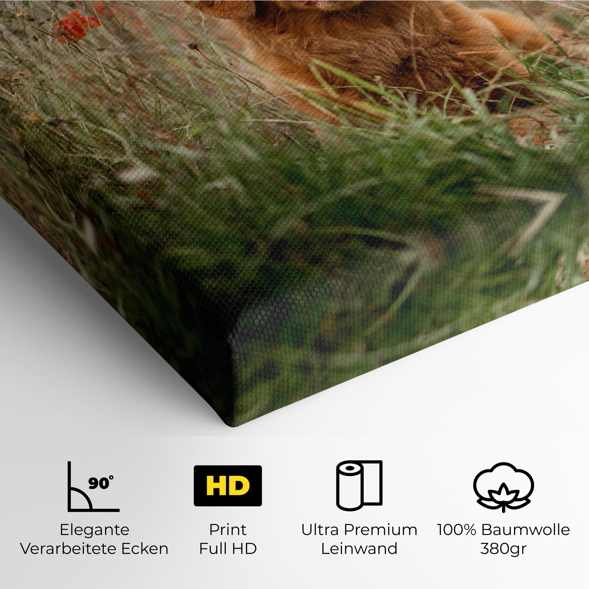 Leinwandbild Red Flowers Dog mockup 4