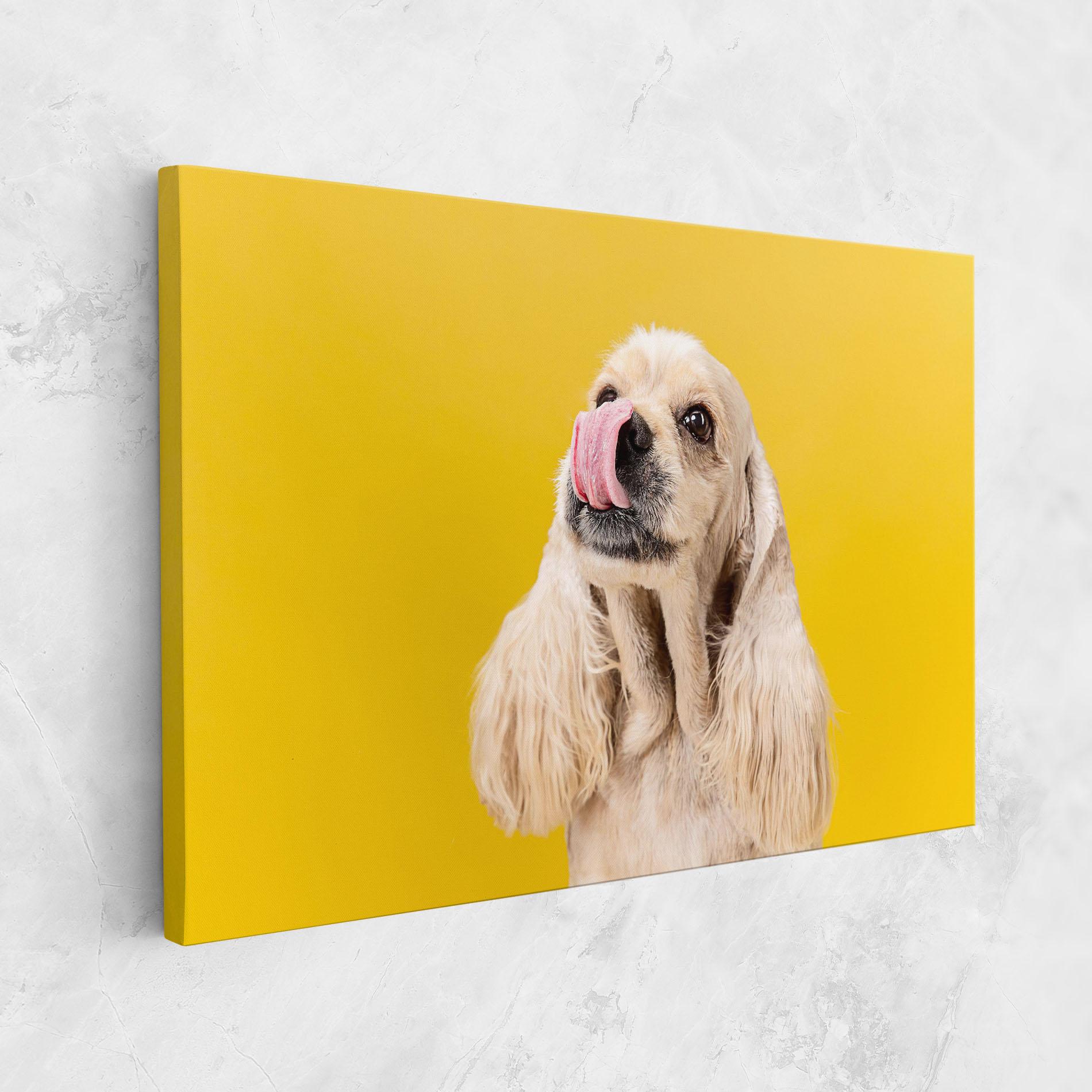 Leinwandbild American Spaniel mockup 1