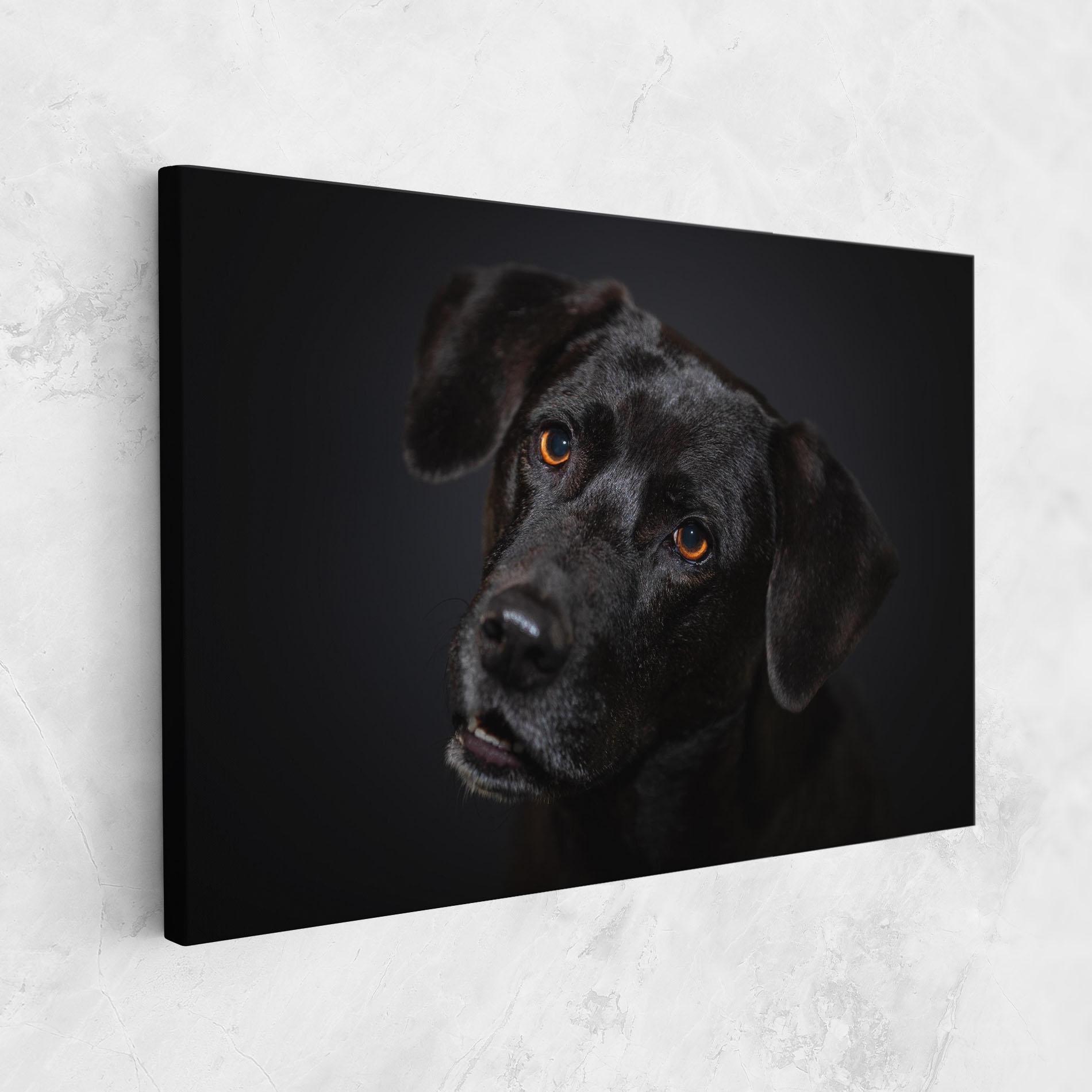 Leinwandbild Black Dog Portrait mockup 1