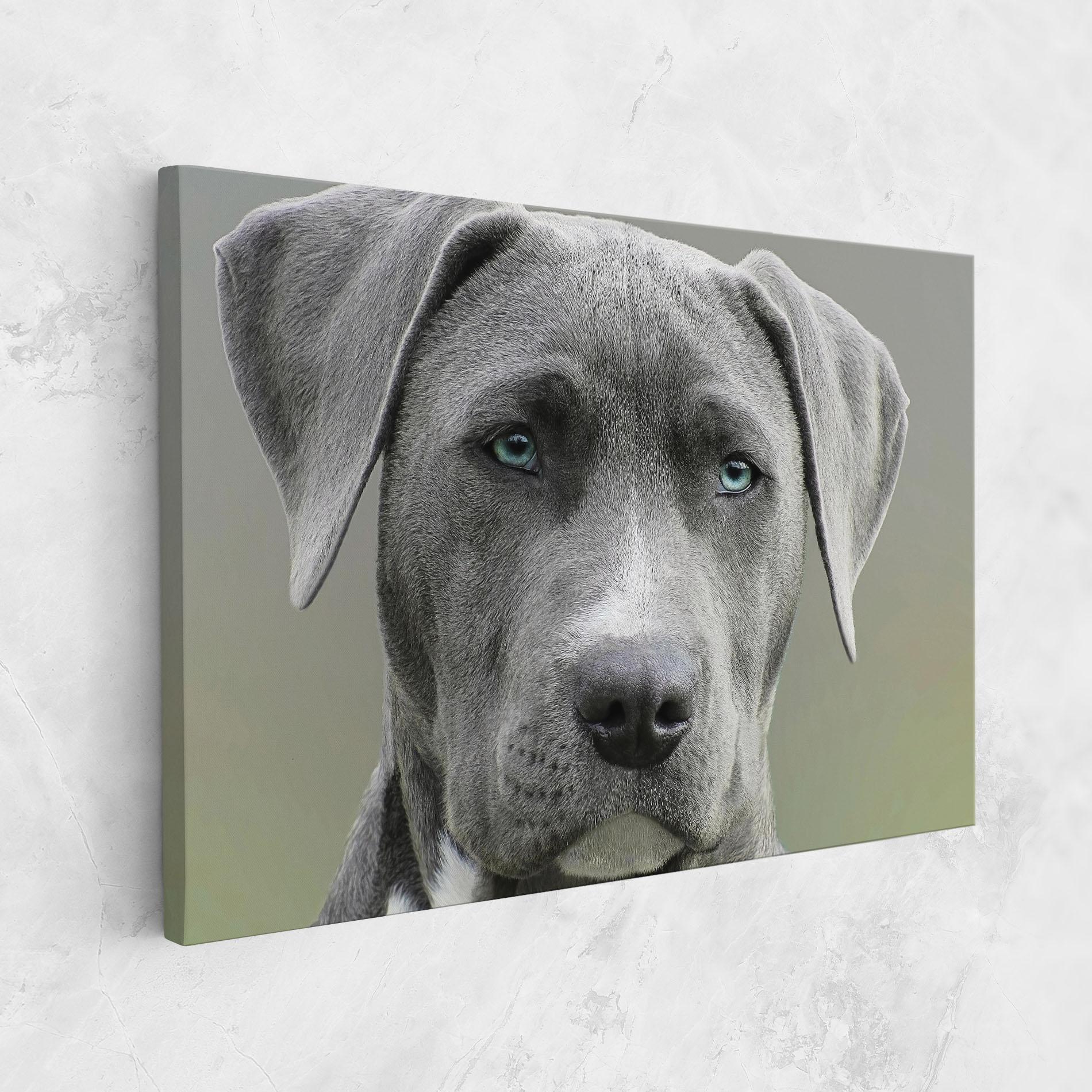 Leinwandbild Blue Eyes Dog mockup 1