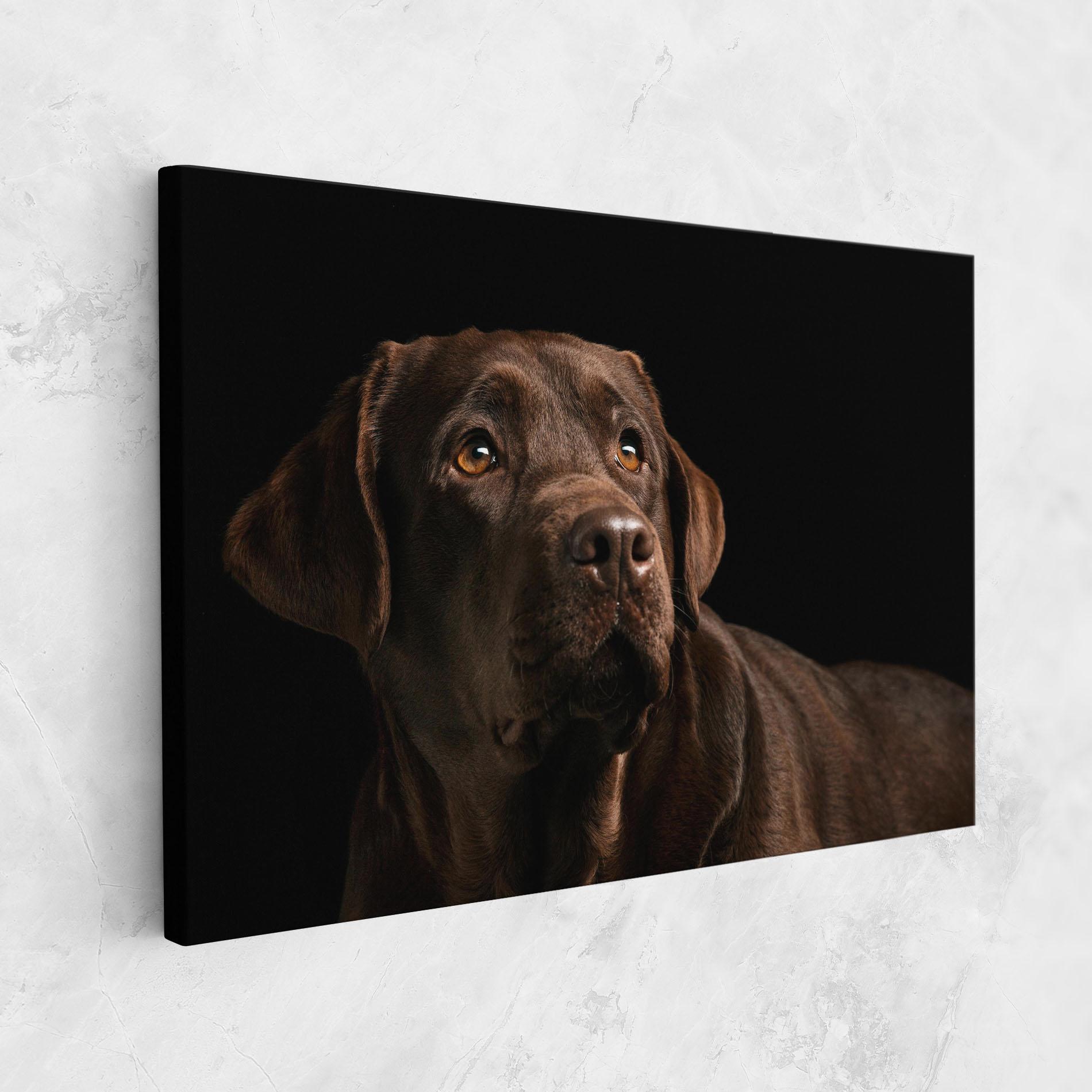 Leinwandbild Brown Labrador mockup 1