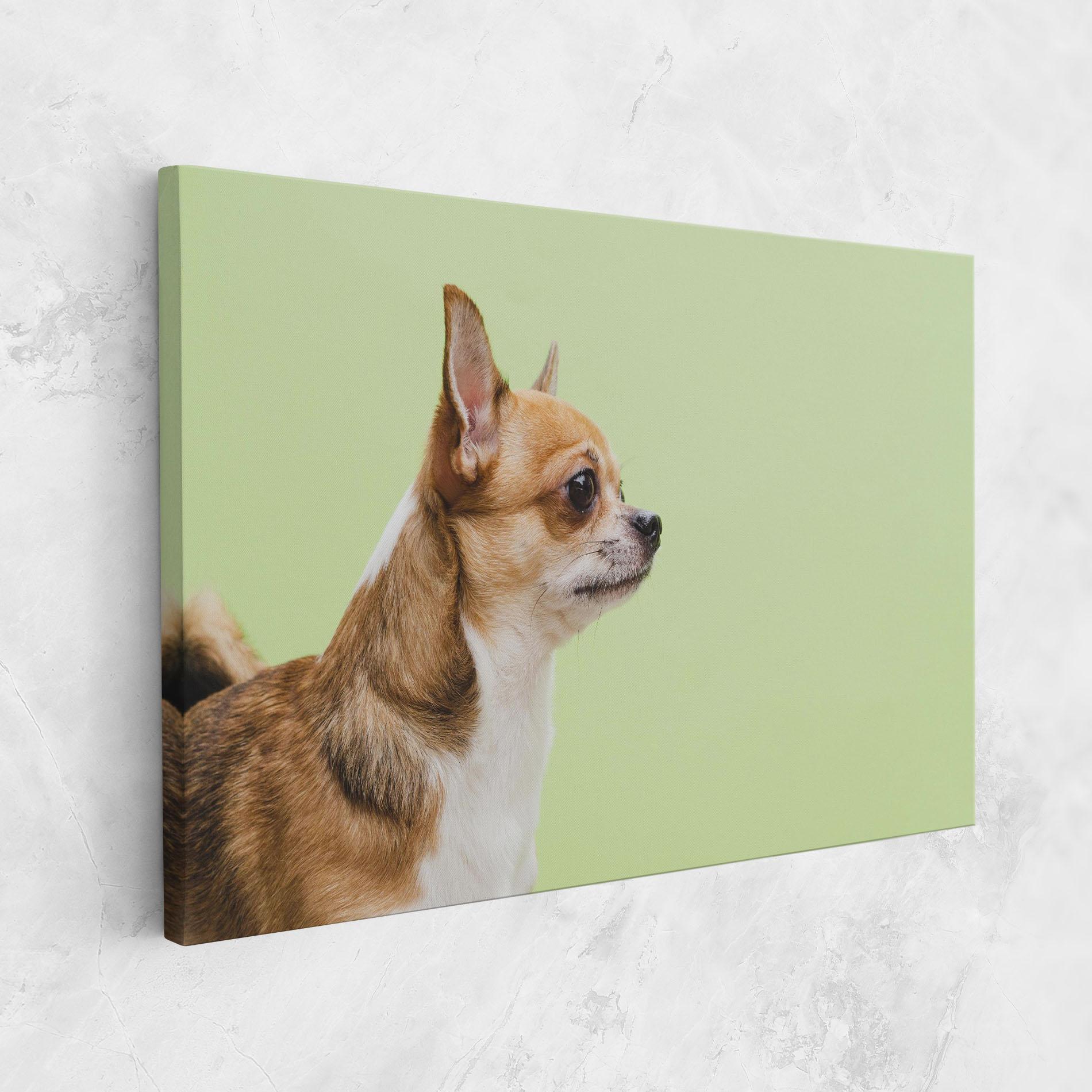 Leinwandbild Chihuahua Dog mockup 1