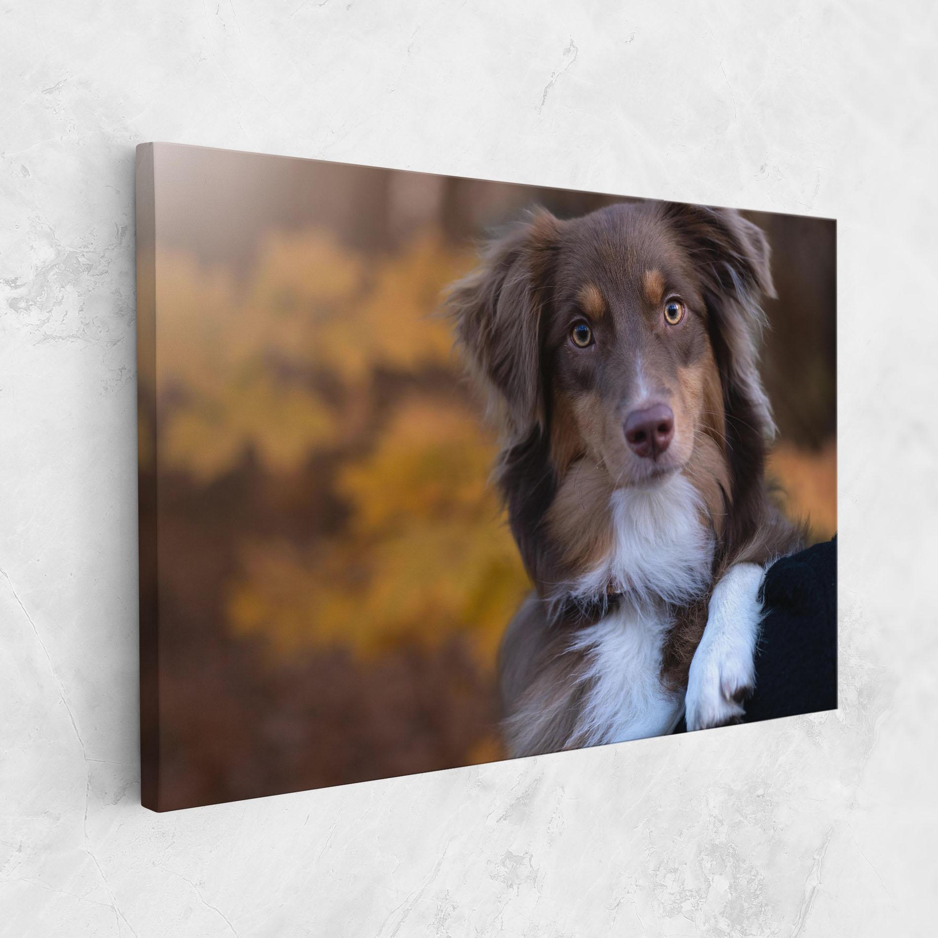 Leinwandbild Coffee Brown Dog mockup 1