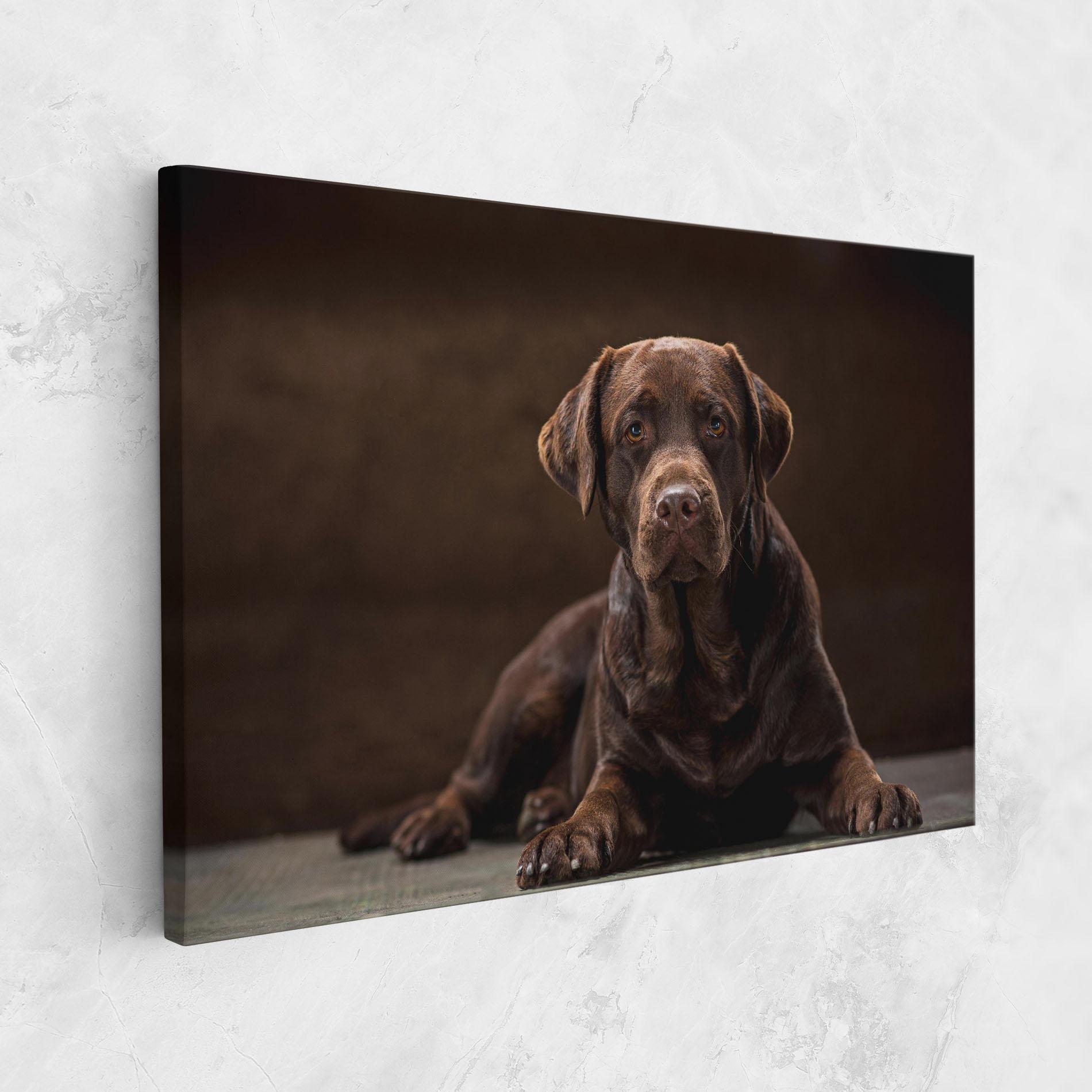 Leinwandbild Cute Brown Labrador mockup 1