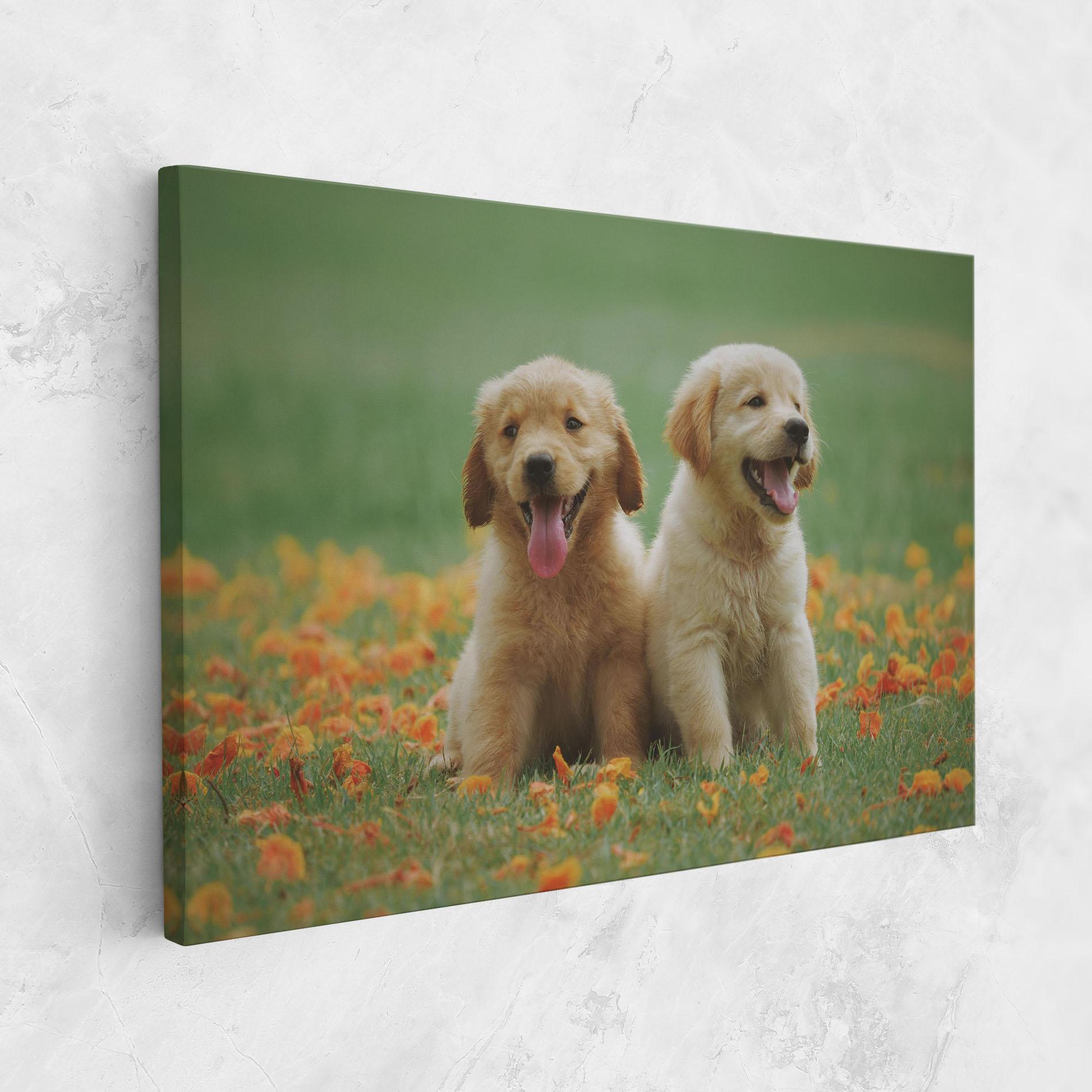 Leinwandbild Happy Dogs mockup 1