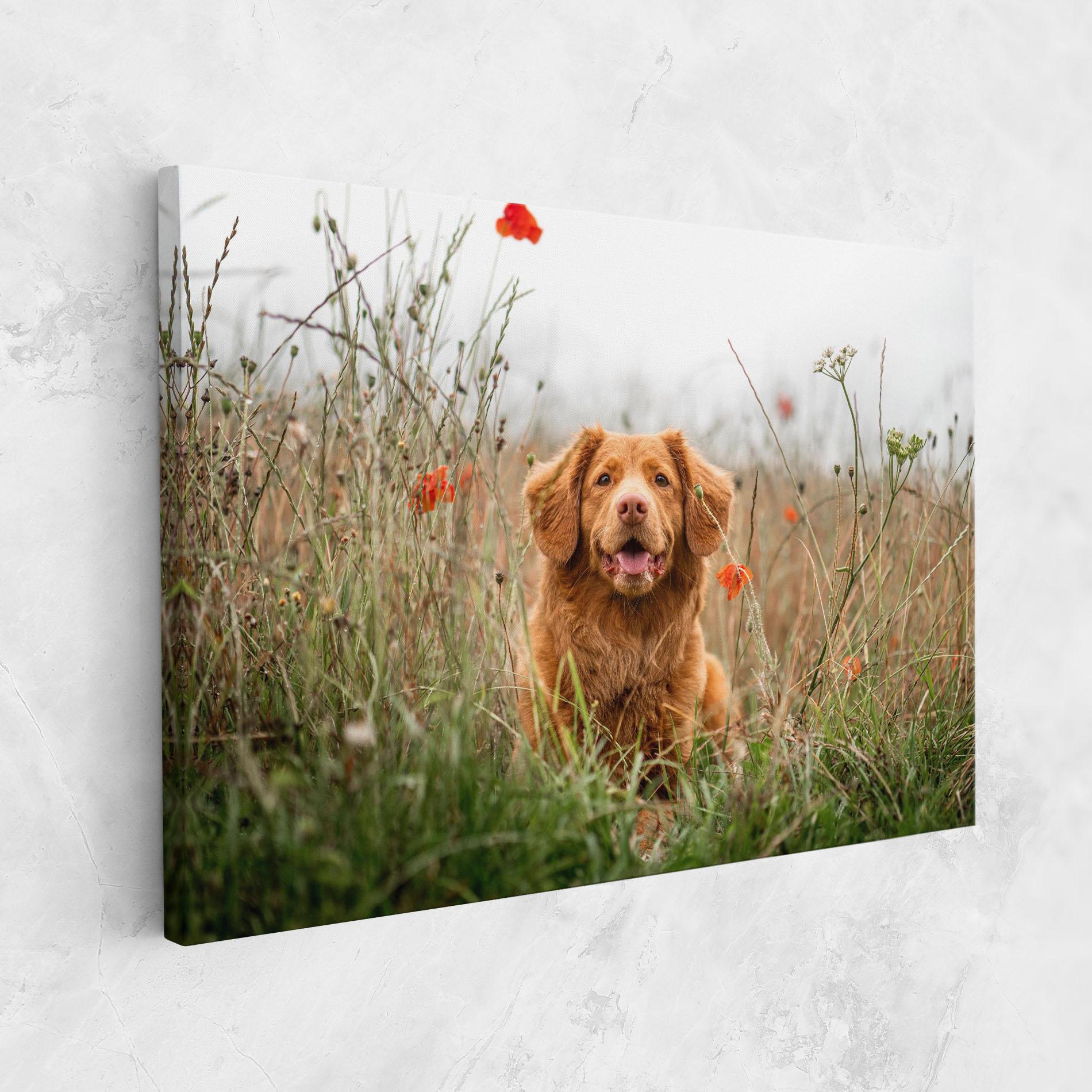 Leinwandbild Red Flowers Dog mockup 1