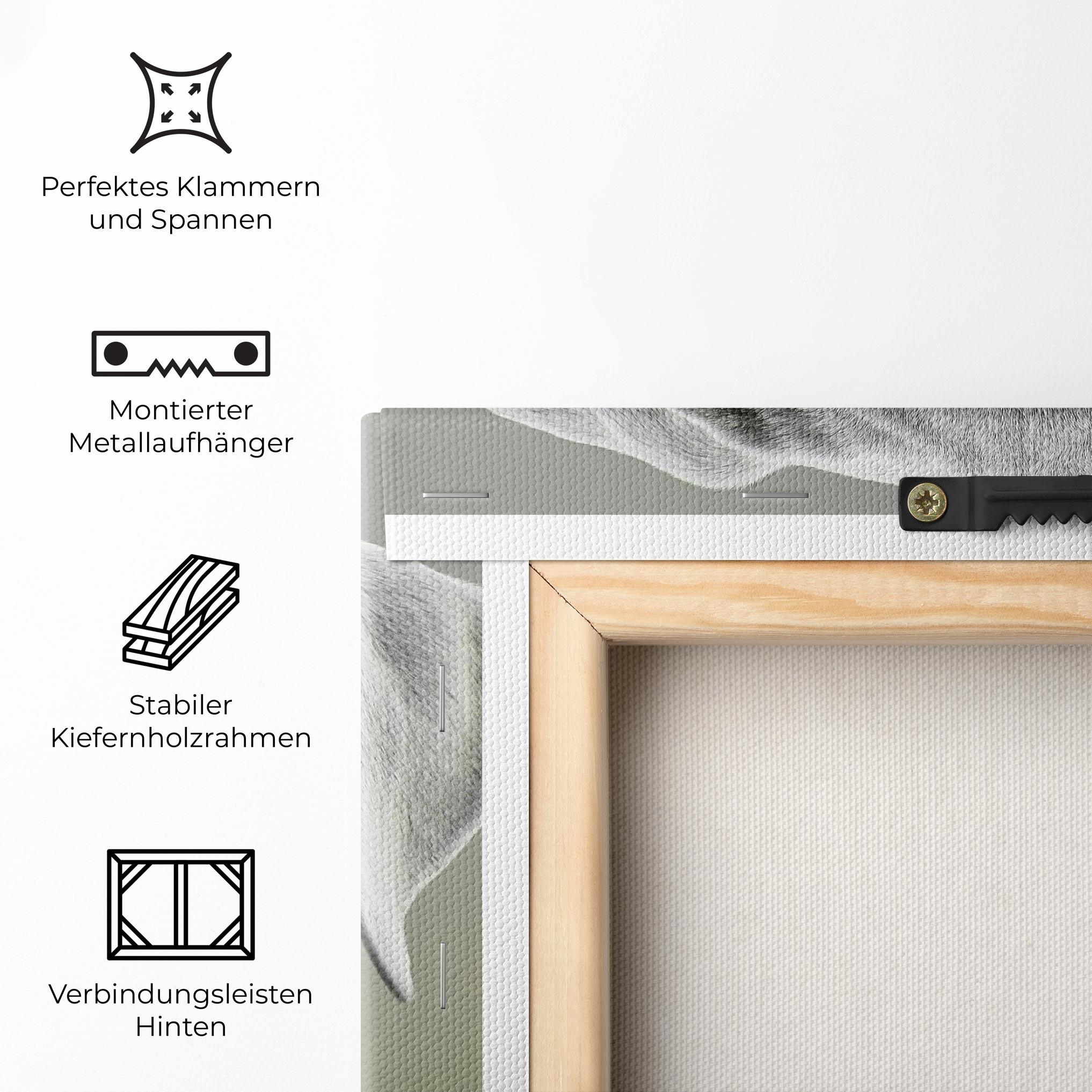 Leinwandbild Blue Eyes Dog mockup 5