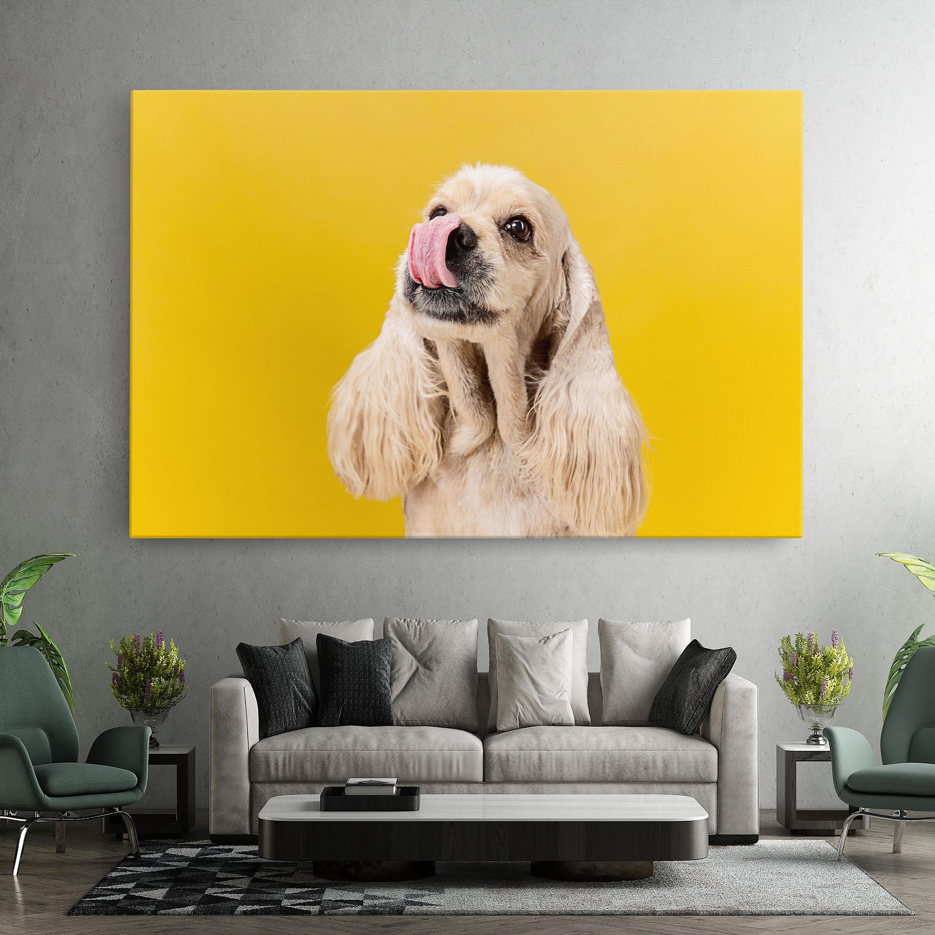 Leinwandbild American Spaniel mockup 7