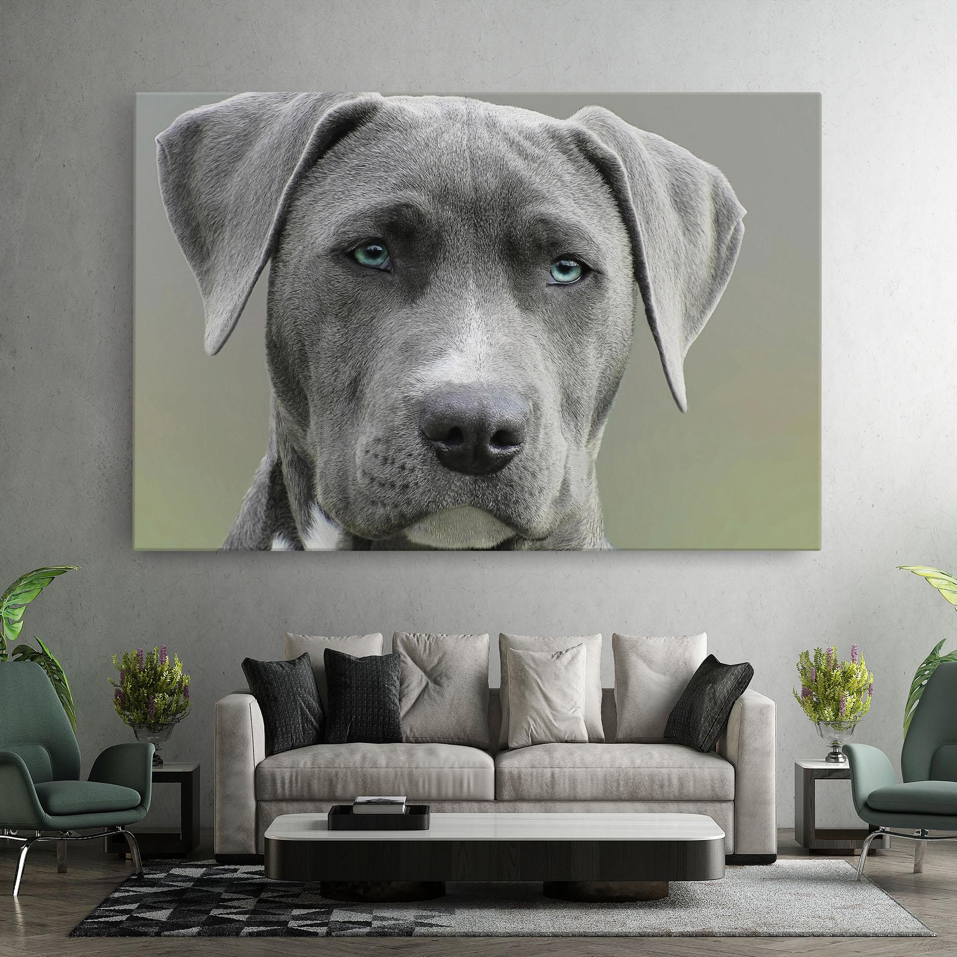 Leinwandbild Blue Eyes Dog mockup 7