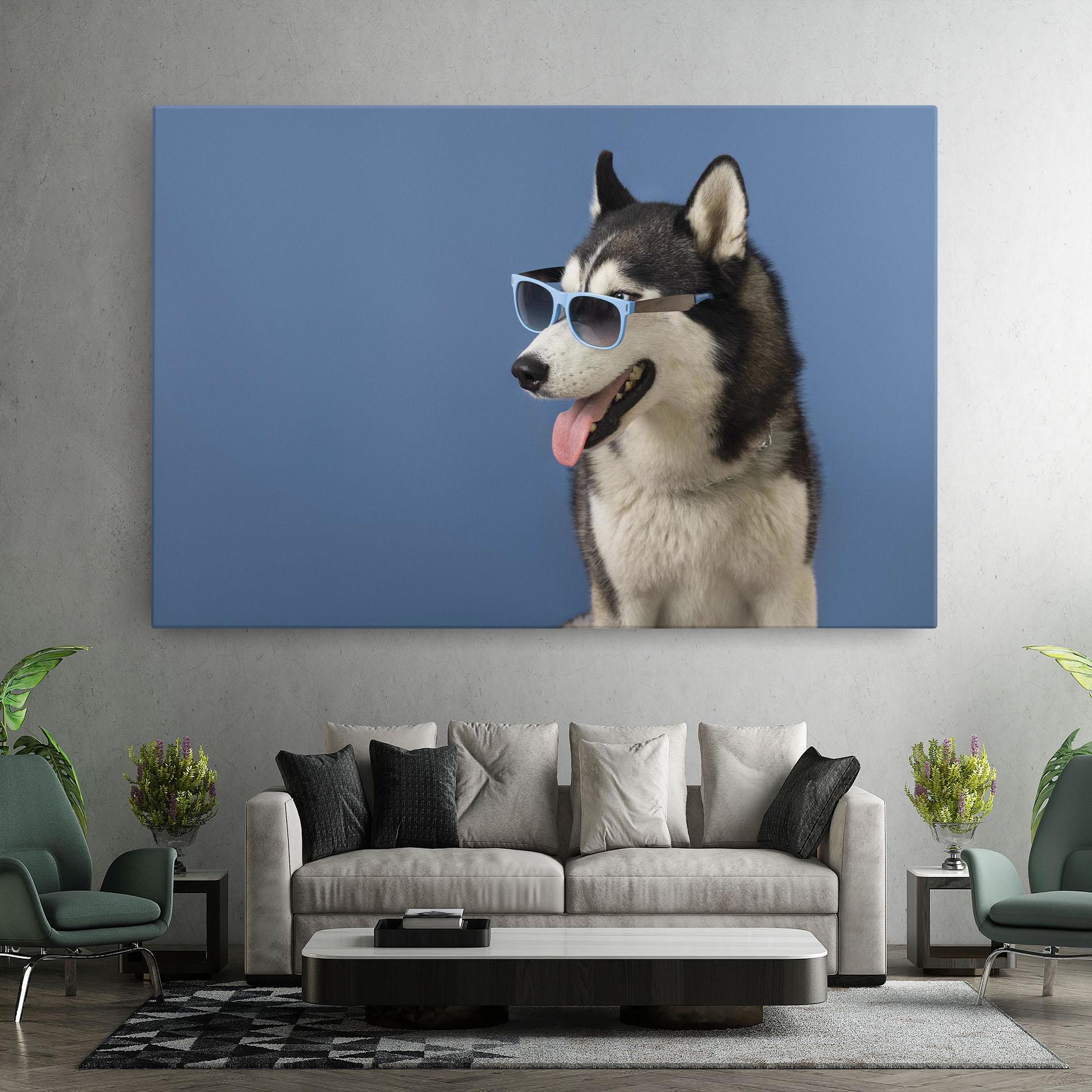 Leinwandbild Blue Glasses Dog mockup 7