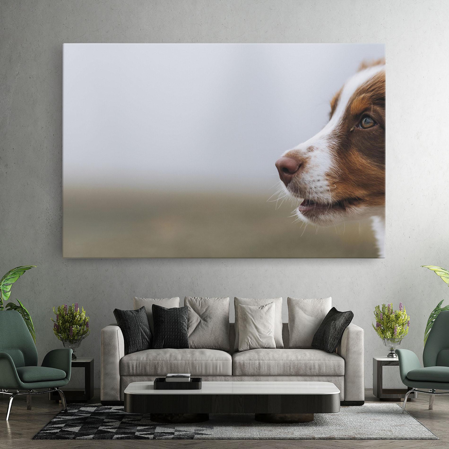 Leinwandbild Brown White Dog mockup 7