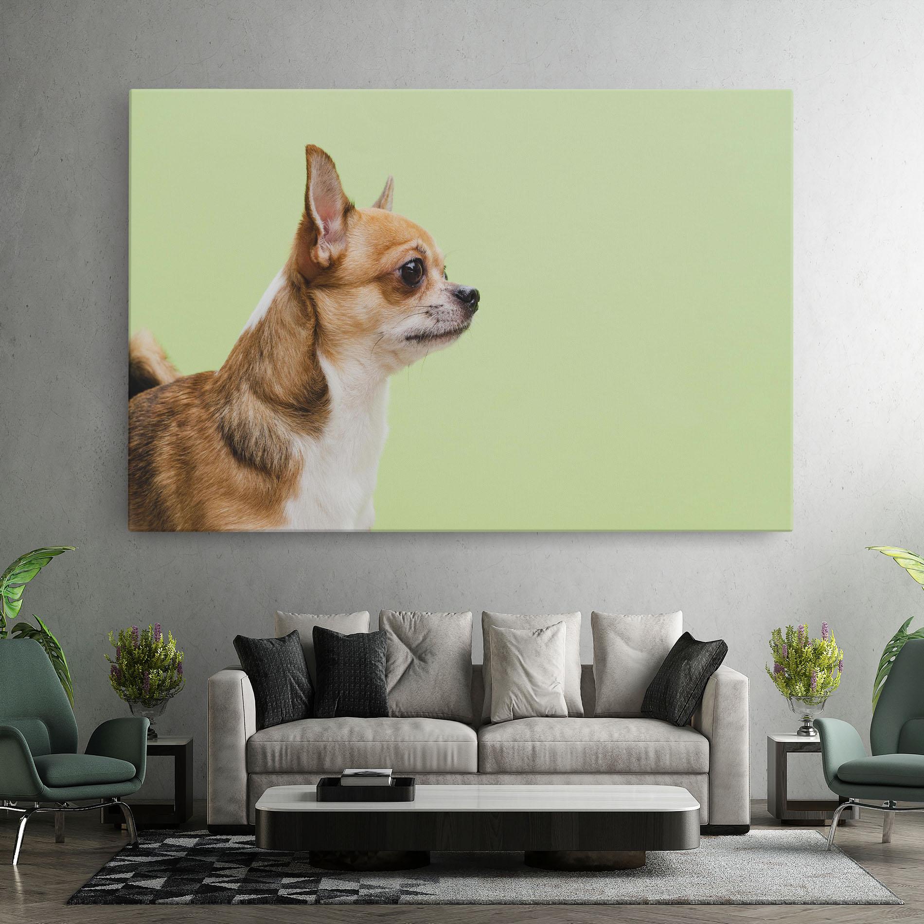 Leinwandbild Chihuahua Dog mockup 7