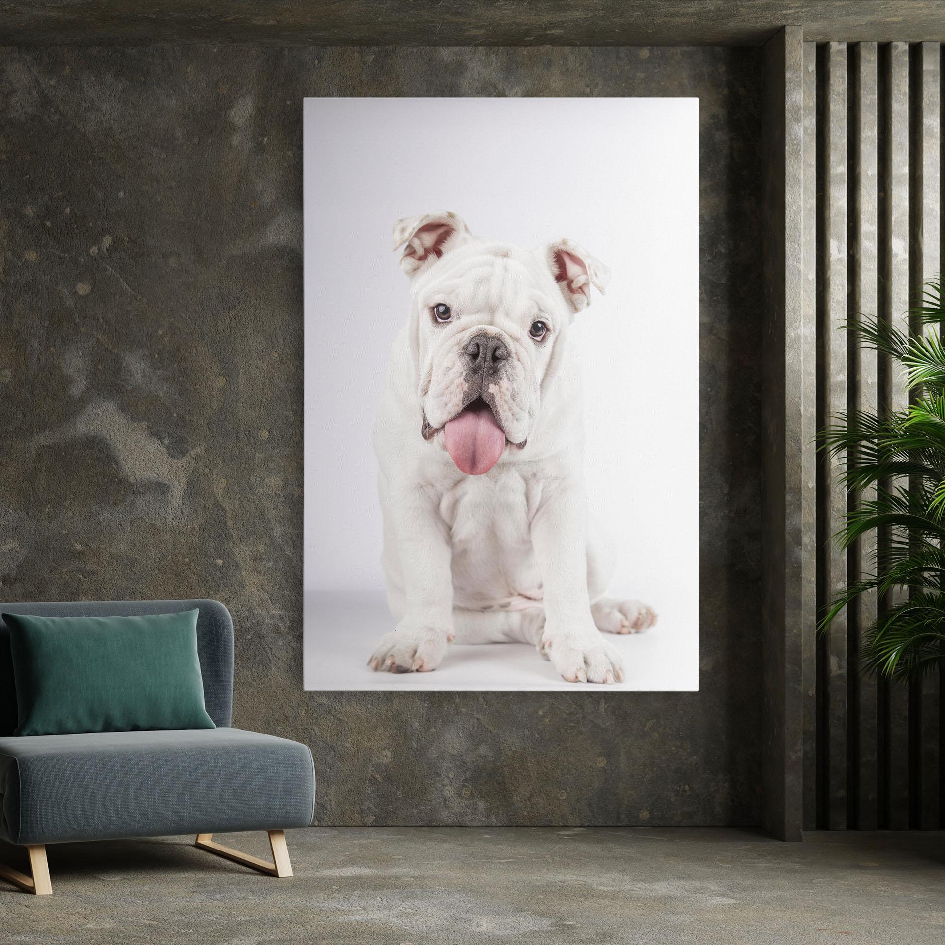 Leinwandbild English Bulldog mockup 7