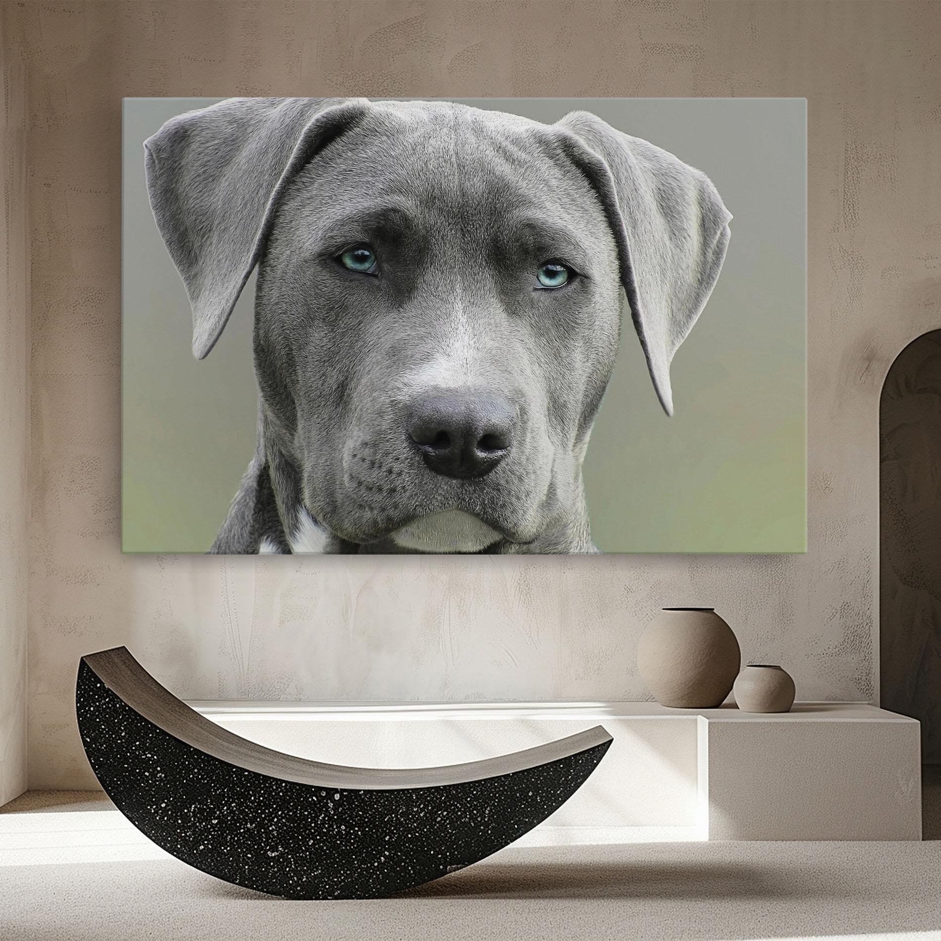 Leinwandbild Blue Eyes Dog mockup 8
