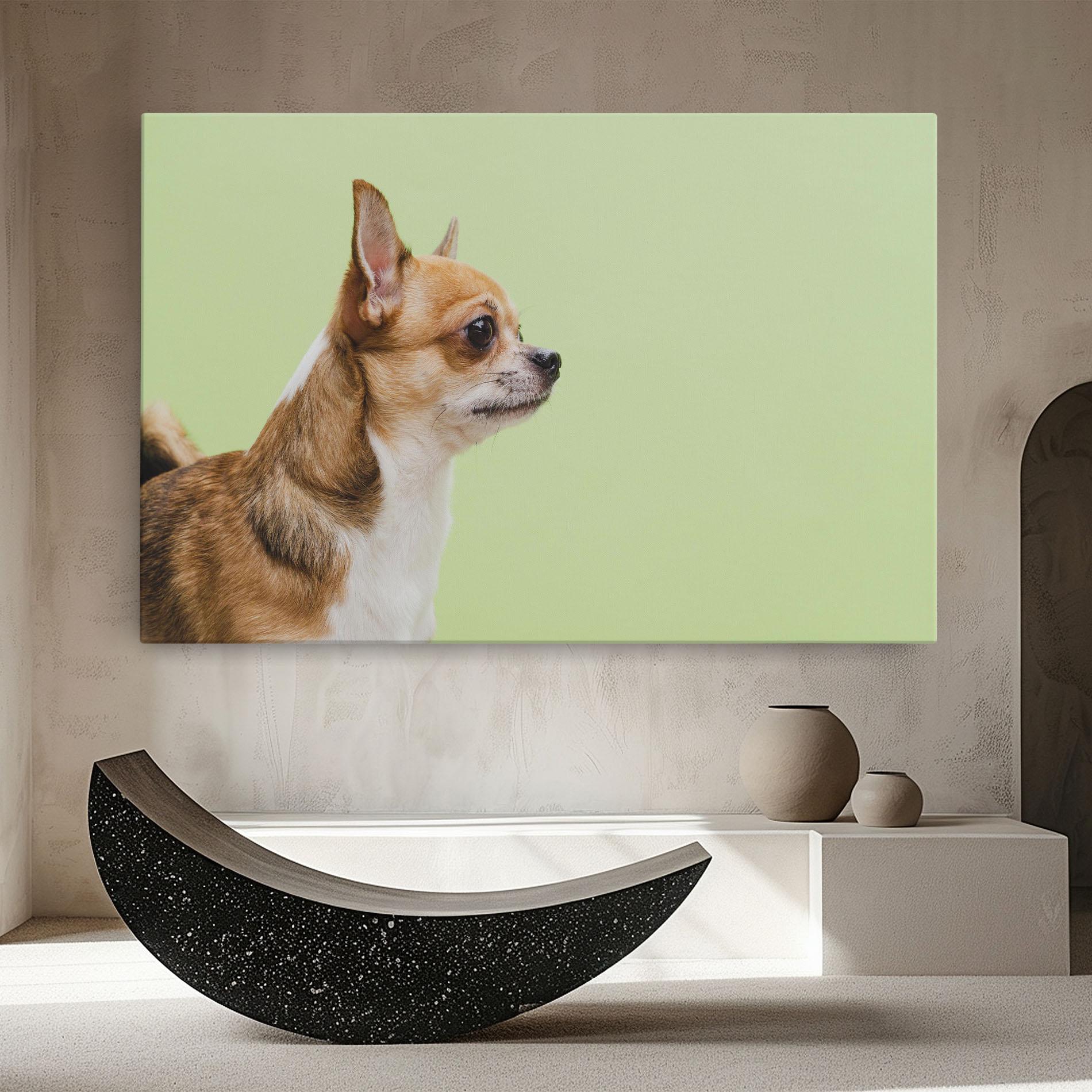 Leinwandbild Chihuahua Dog mockup 8