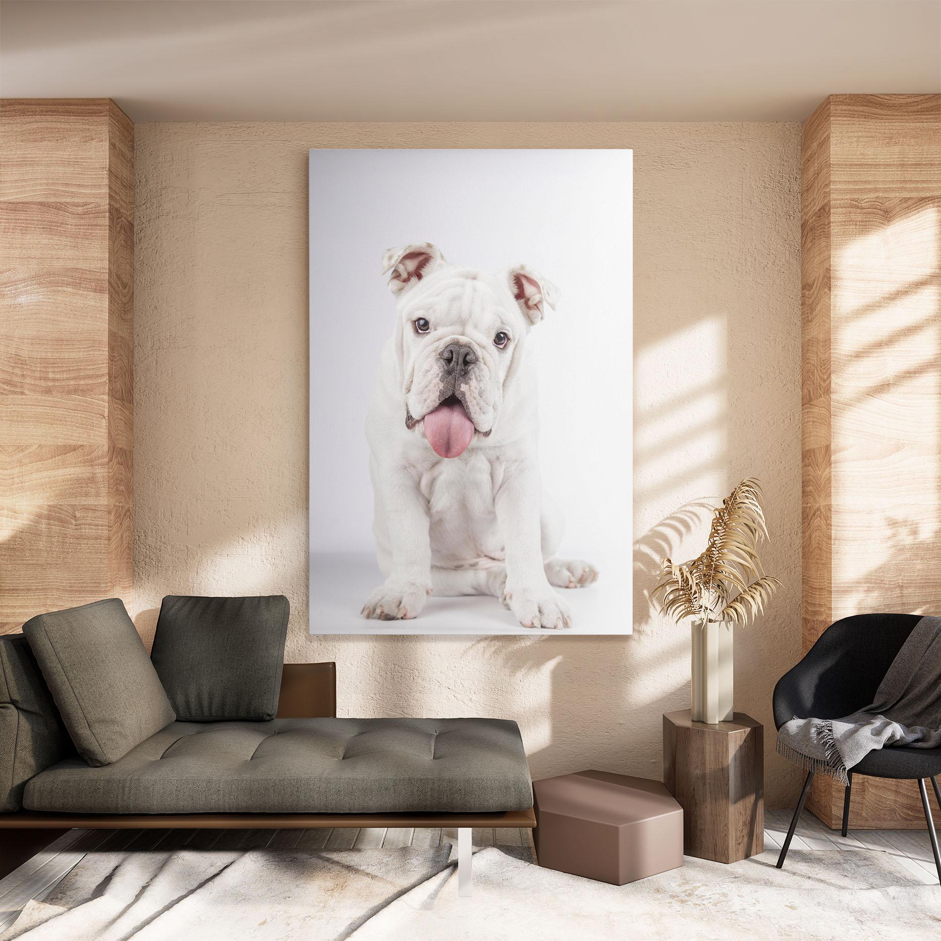 Leinwandbild English Bulldog mockup 8