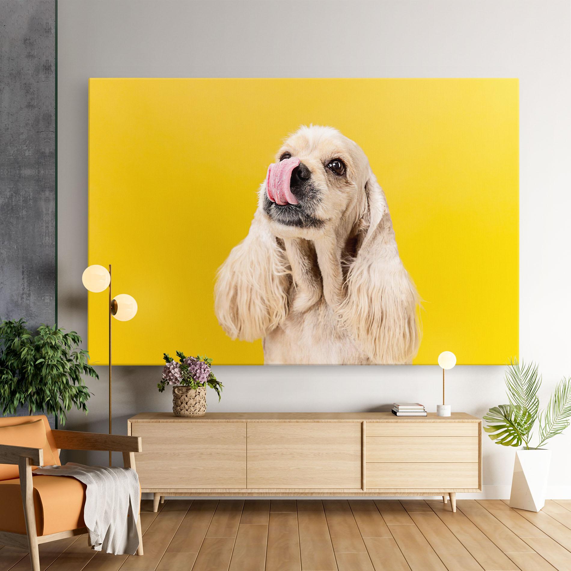 Leinwandbild American Spaniel mockup 9