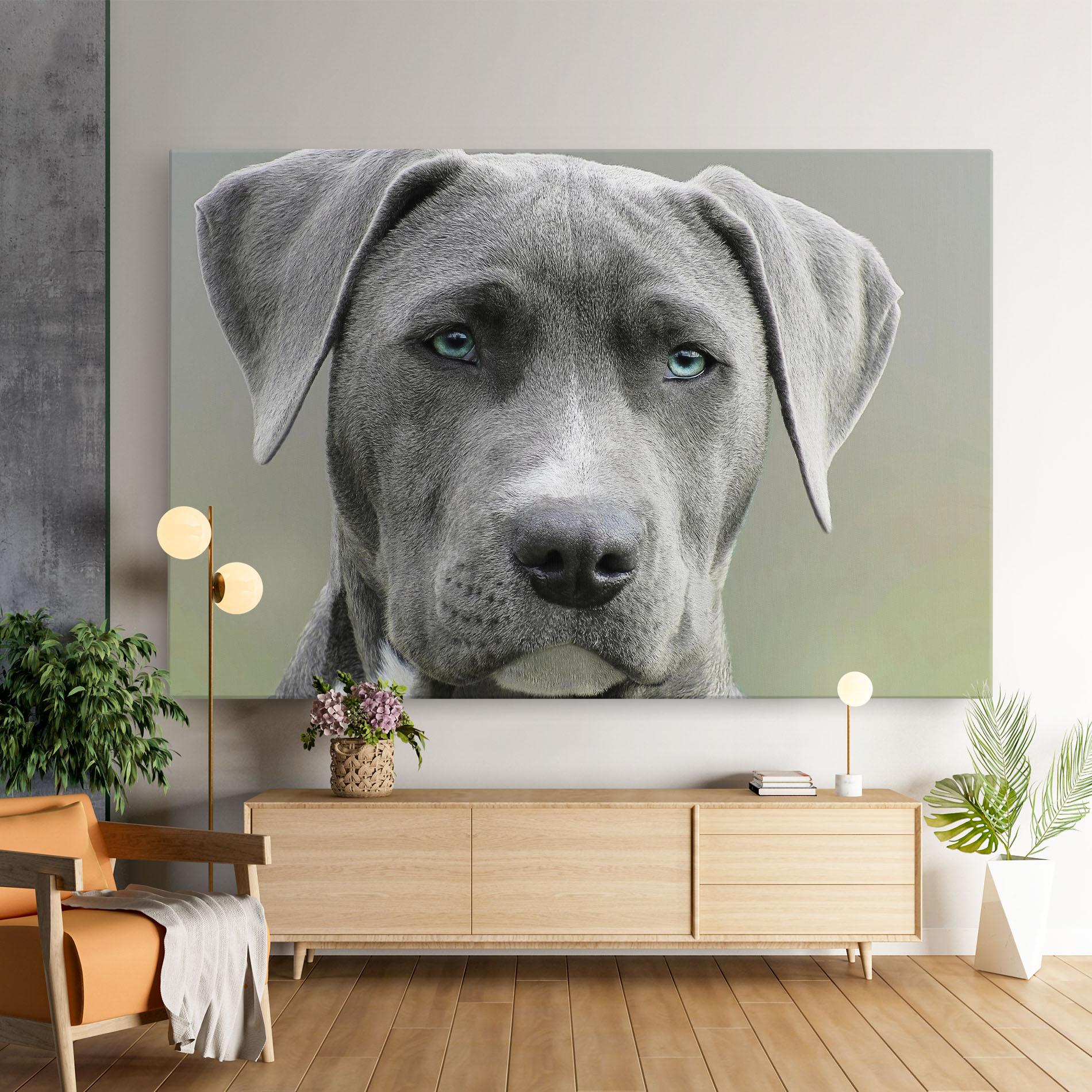 Leinwandbild Blue Eyes Dog mockup 9
