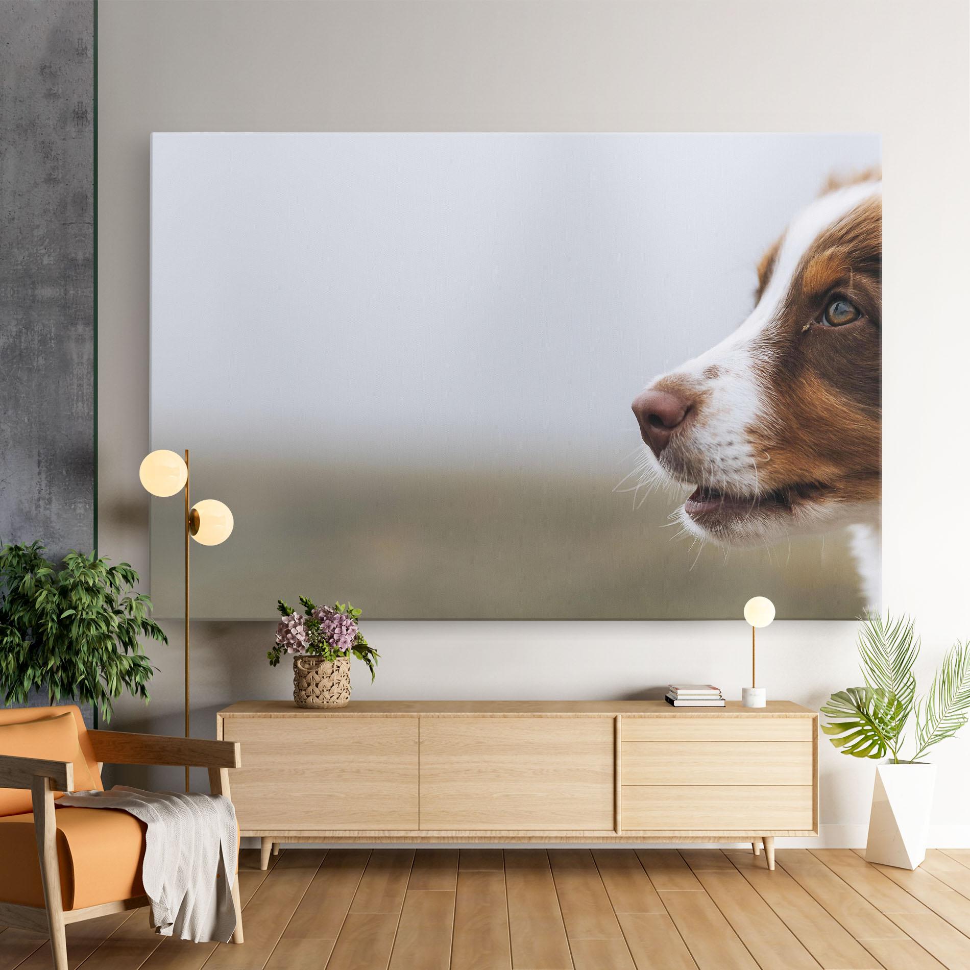 Leinwandbild Brown White Dog mockup 9