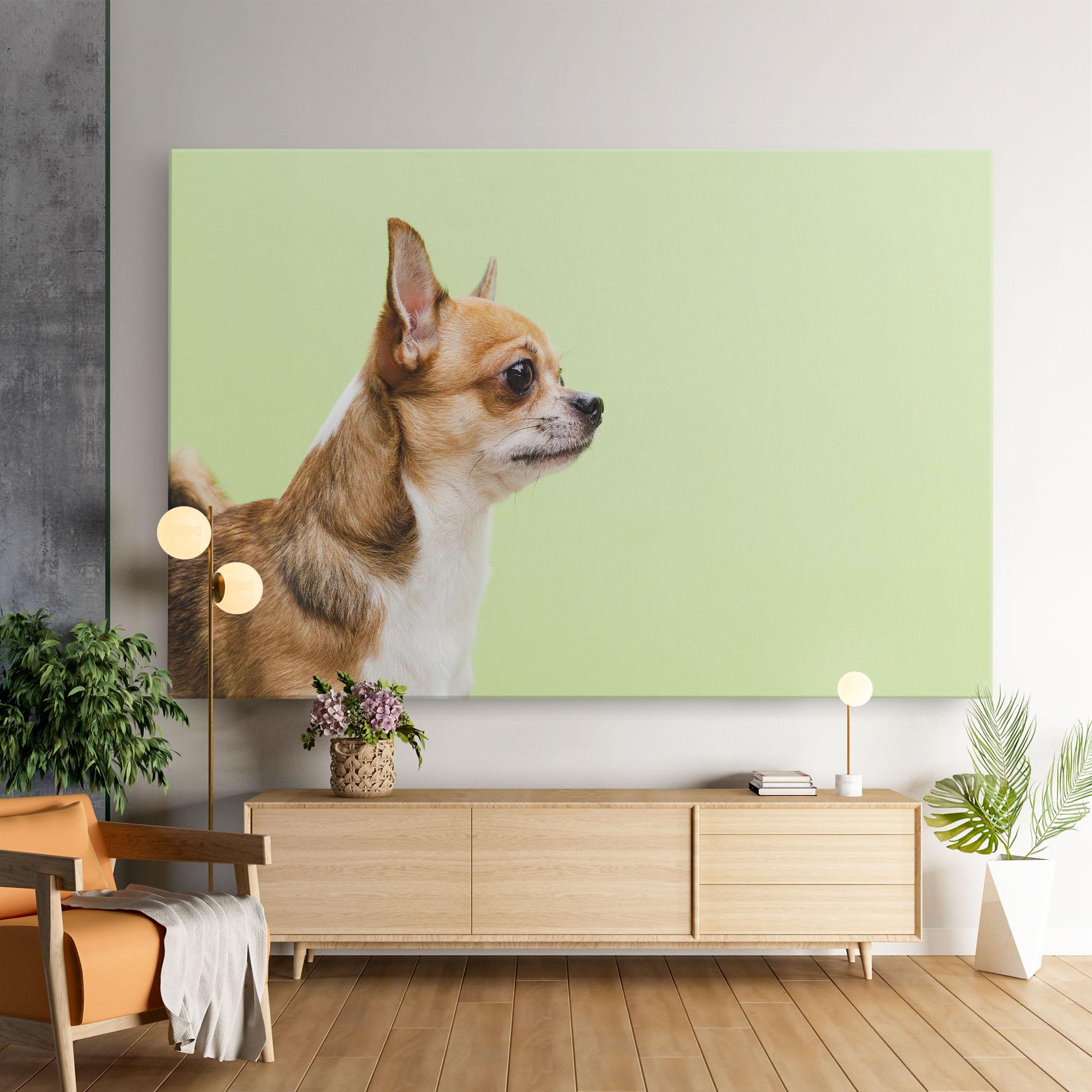 Leinwandbild Chihuahua Dog mockup 9