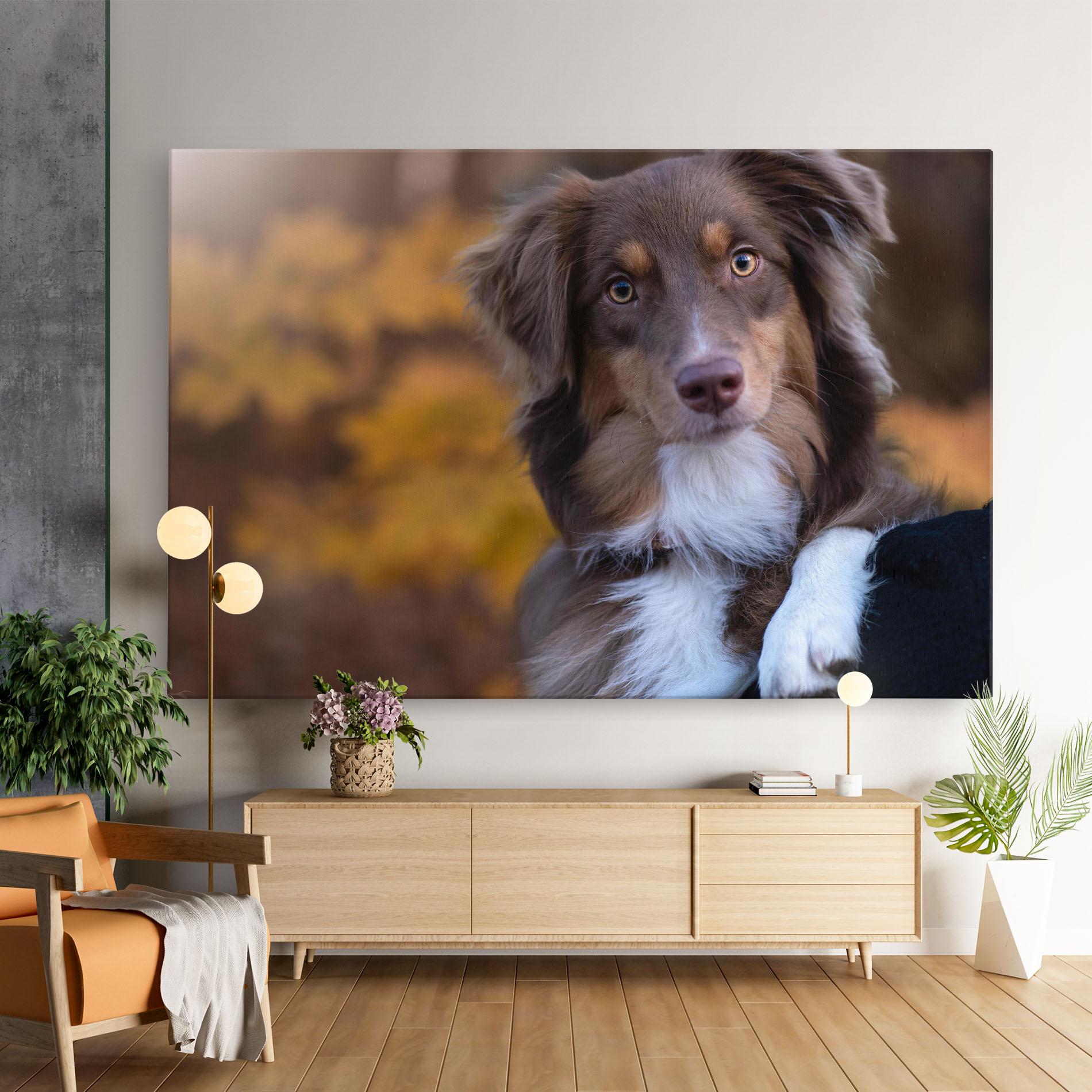 Leinwandbild Coffee Brown Dog mockup 9