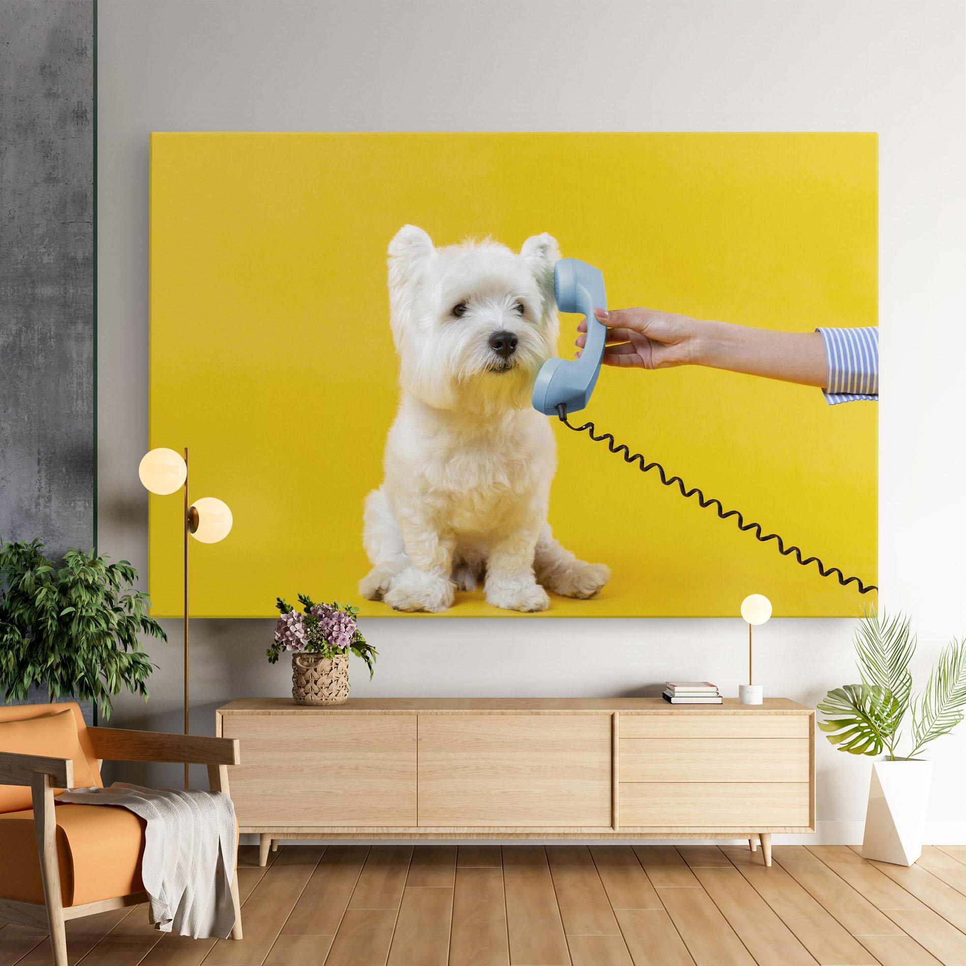 Leinwandbild Cute Little Dog mockup 9