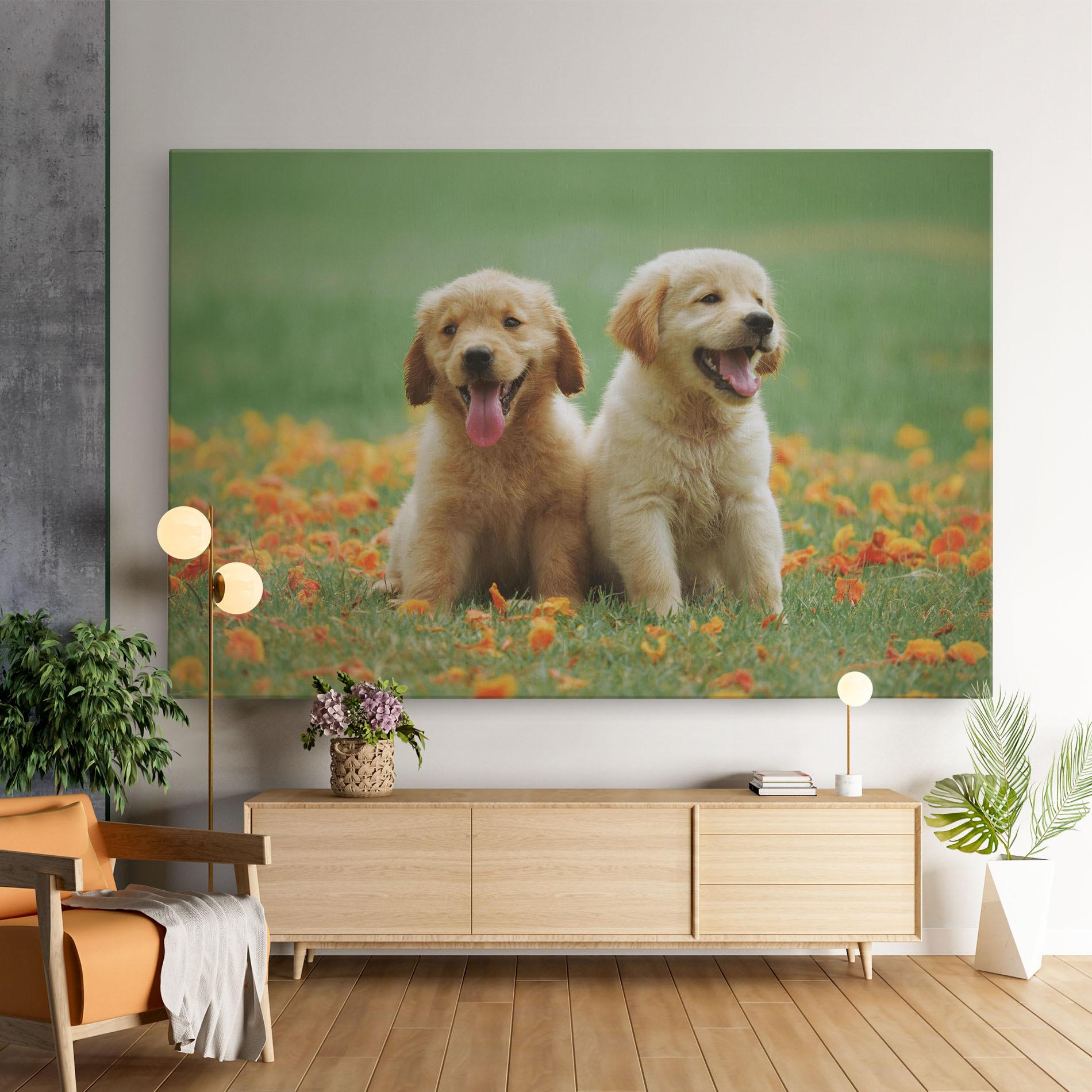 Leinwandbild Happy Dogs mockup 9