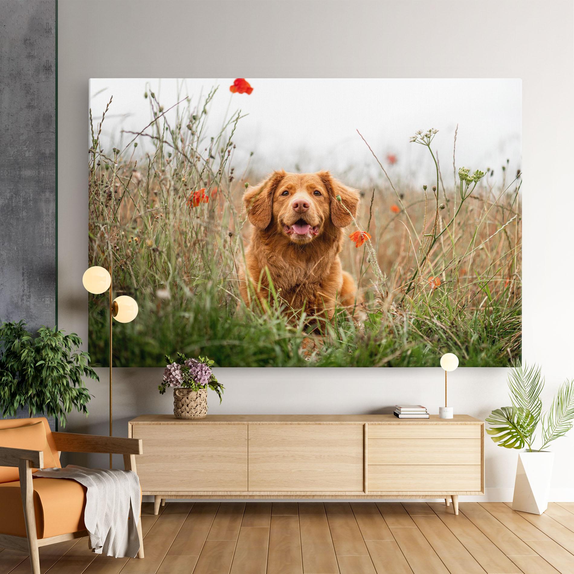 Leinwandbild Red Flowers Dog mockup 9