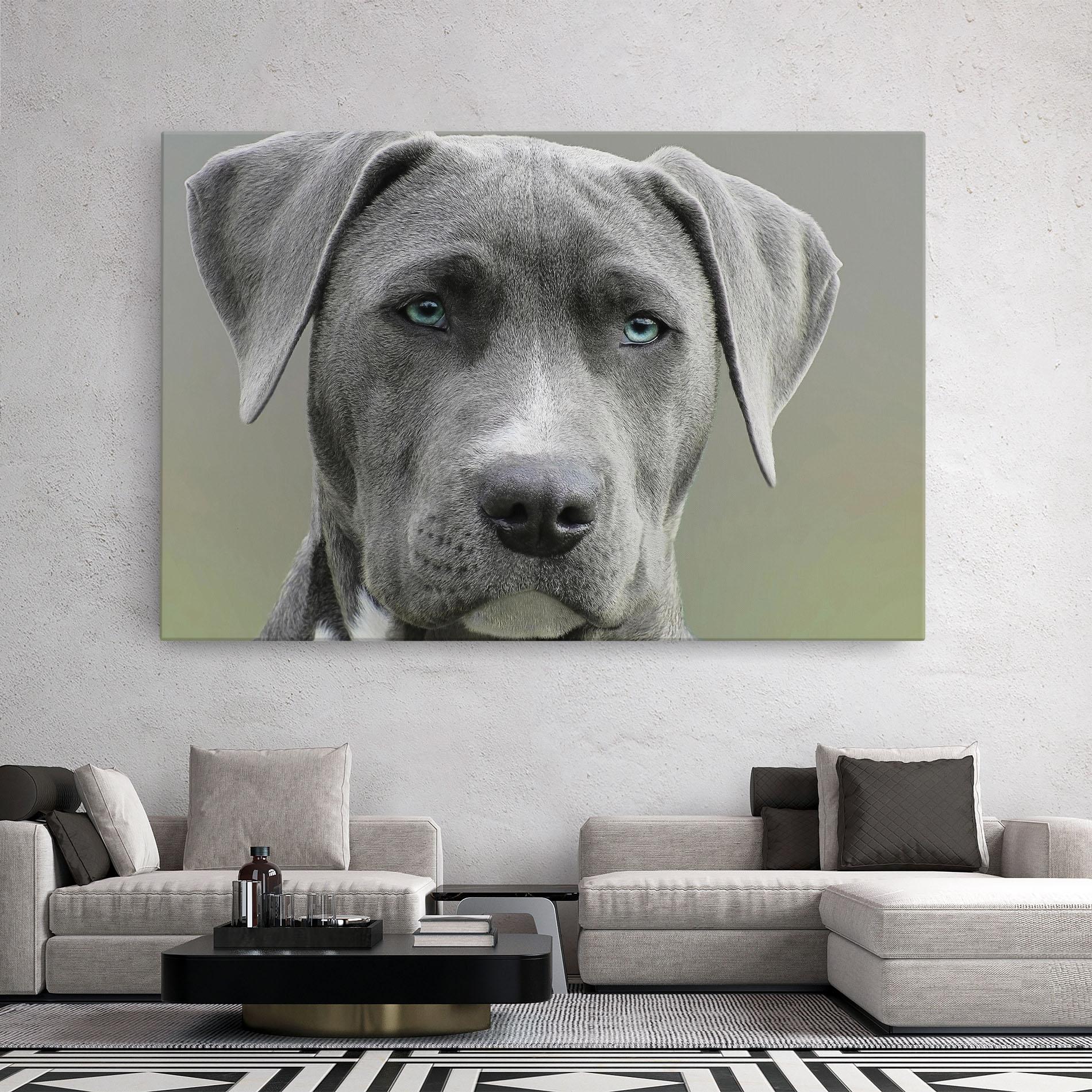 Leinwandbild Blue Eyes Dog mockup 2