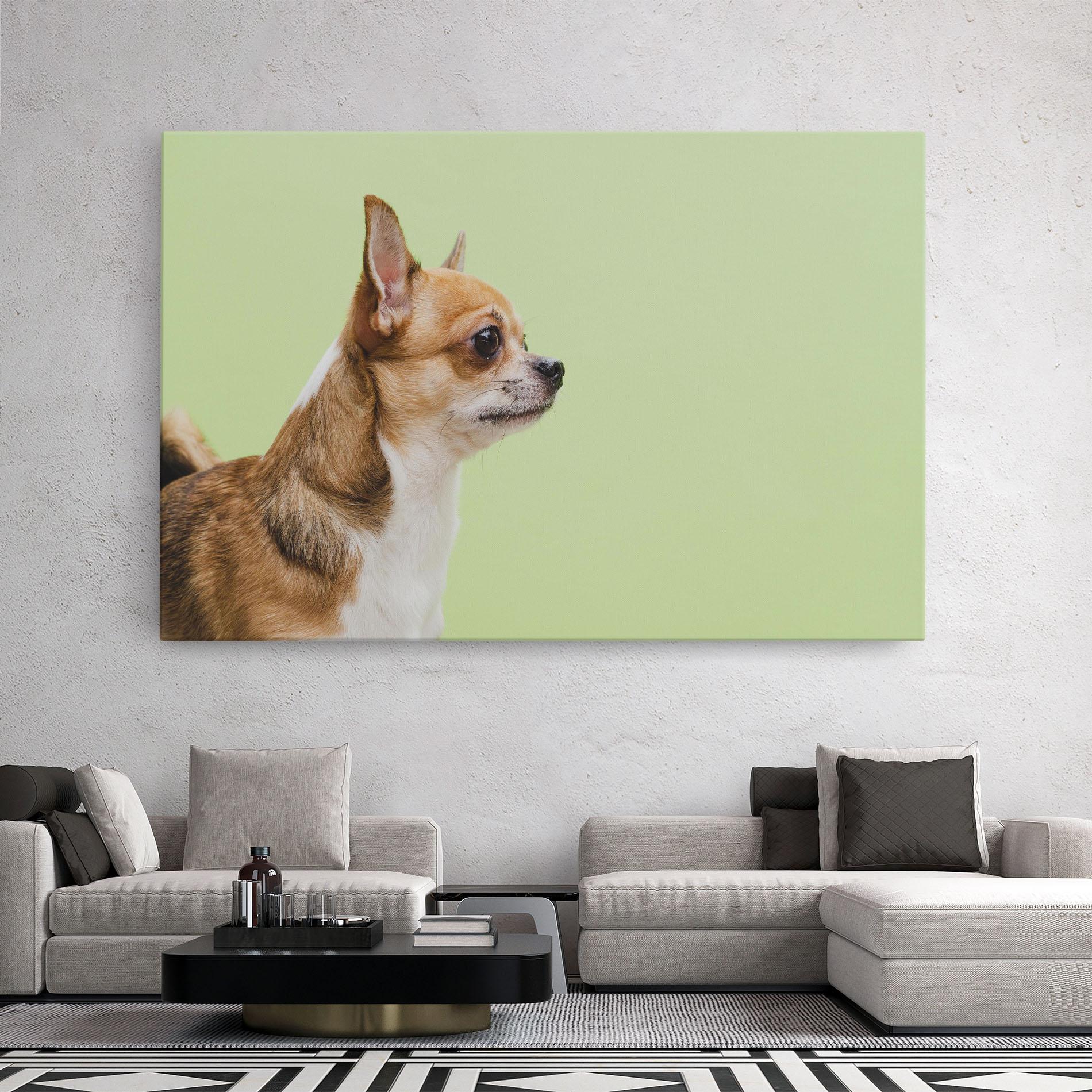 Leinwandbild Chihuahua Dog mockup 2