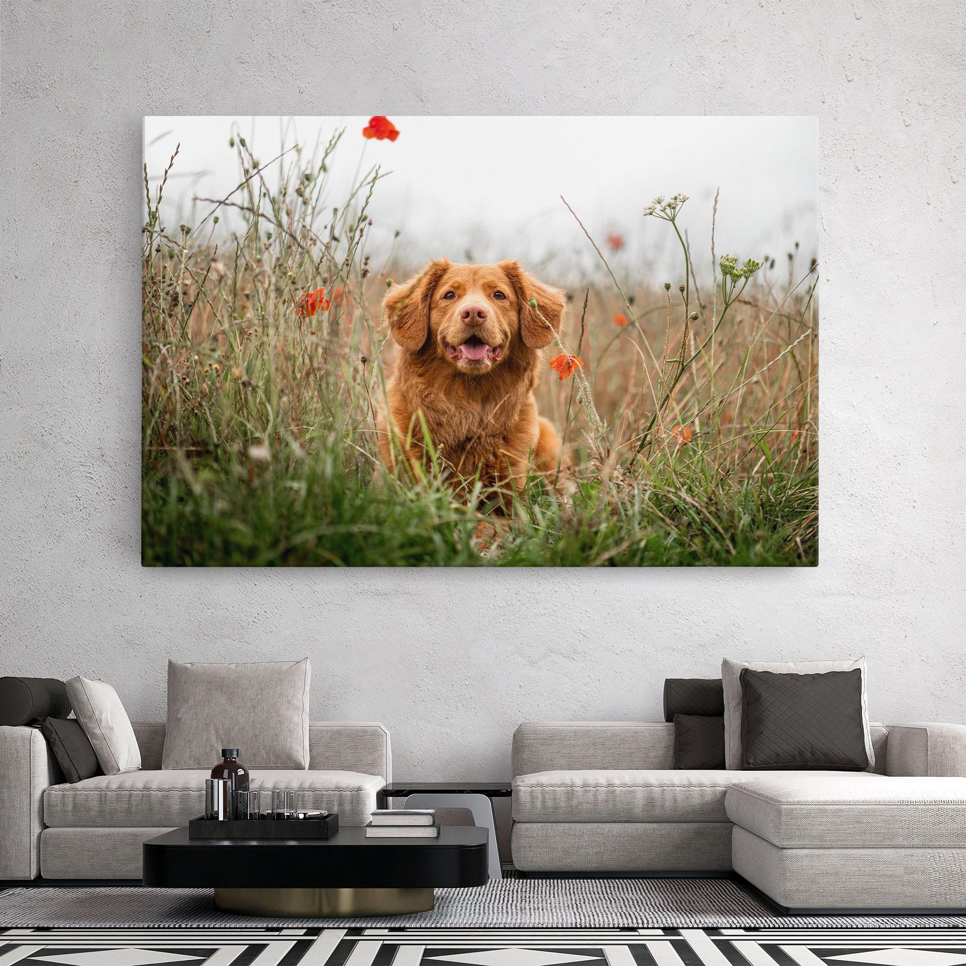 Leinwandbild Red Flowers Dog mockup 2