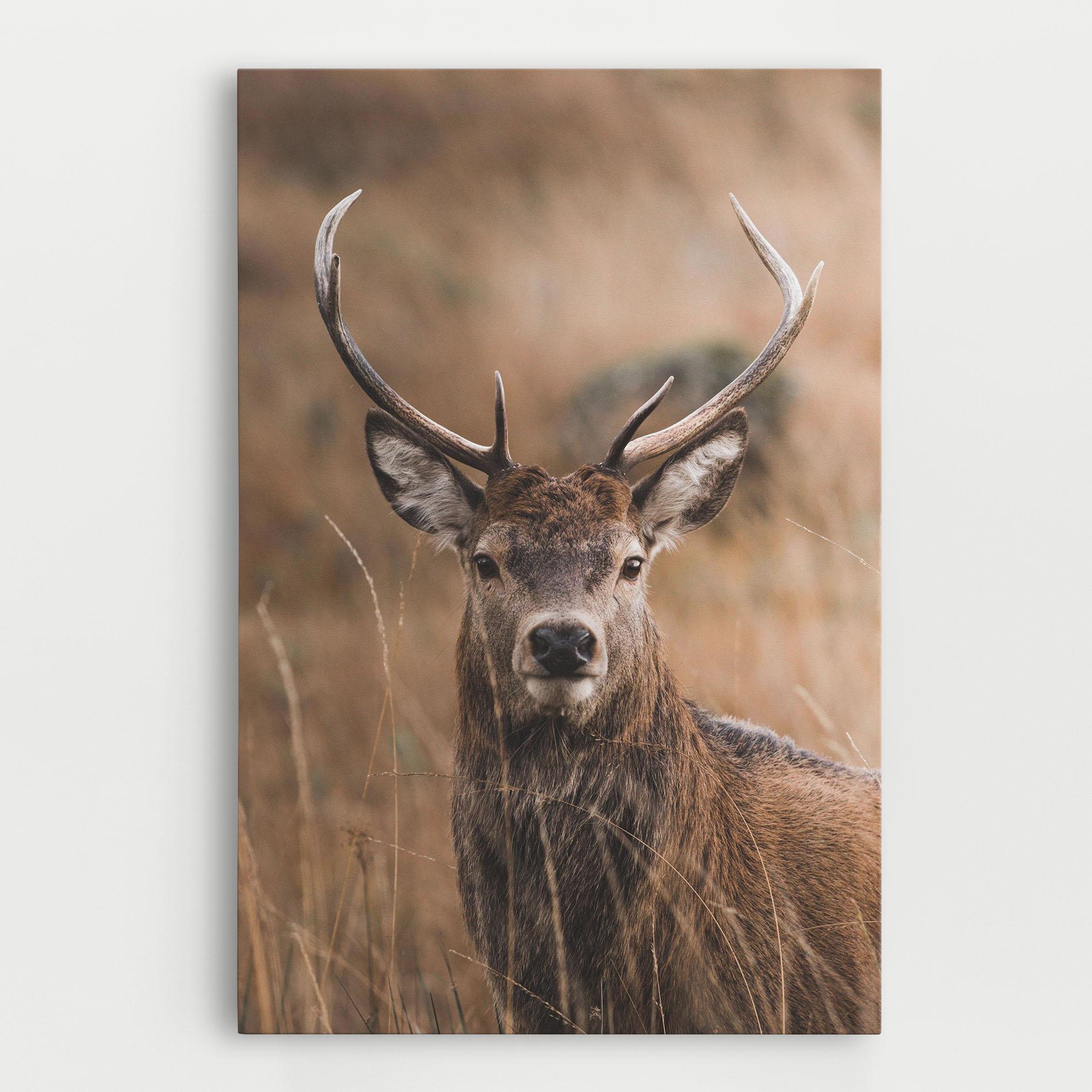 Leinwandbild Majestic Deer mockup 0