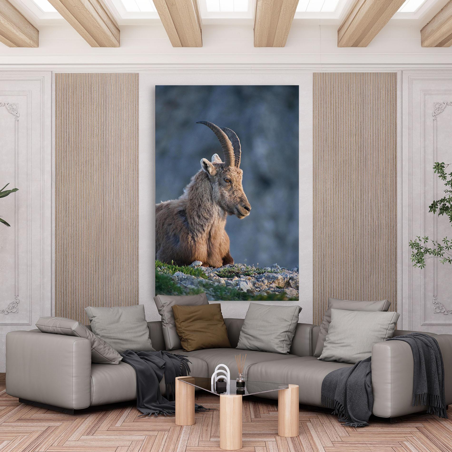 Leinwandbild Mountain Goat mockup 6