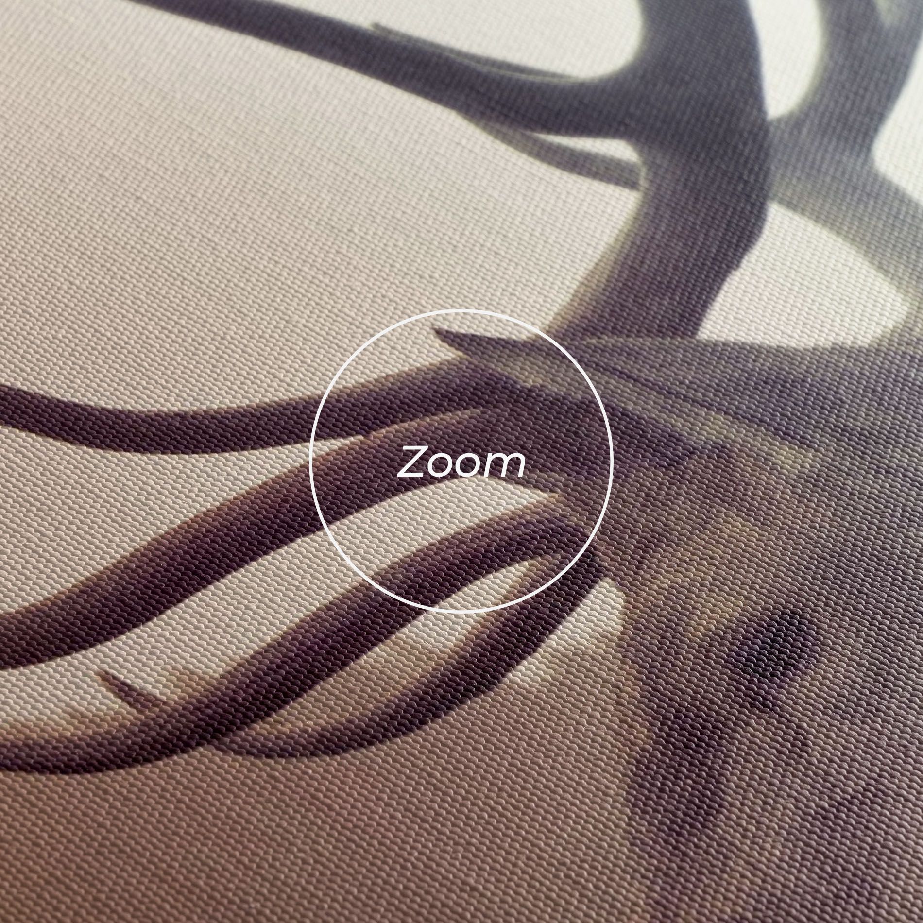 King Of The Forest mockup 3