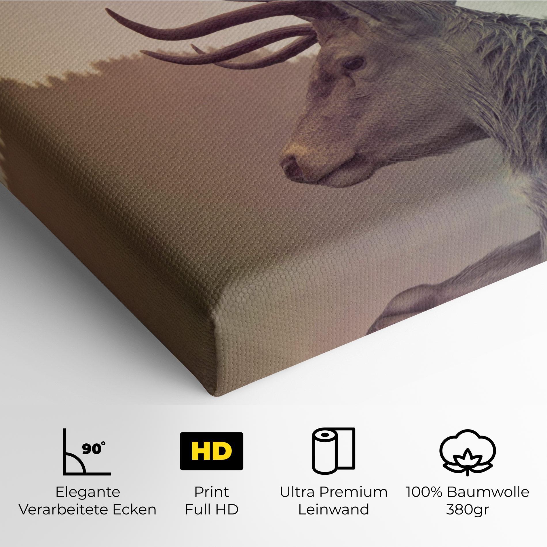 Leinwandbild King Of The Forest mockup 4
