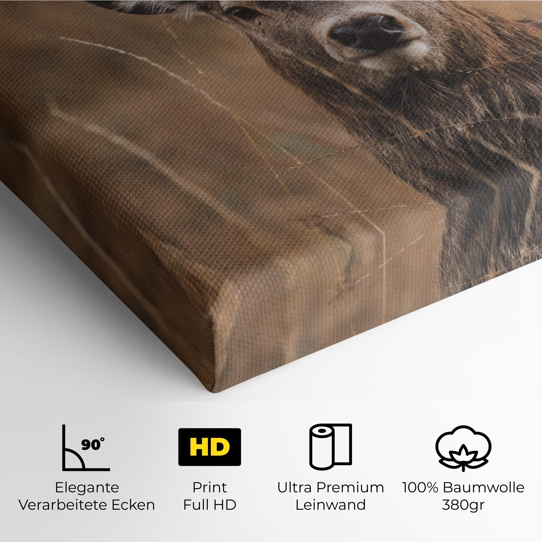 Leinwandbild Majestic Deer mockup 4