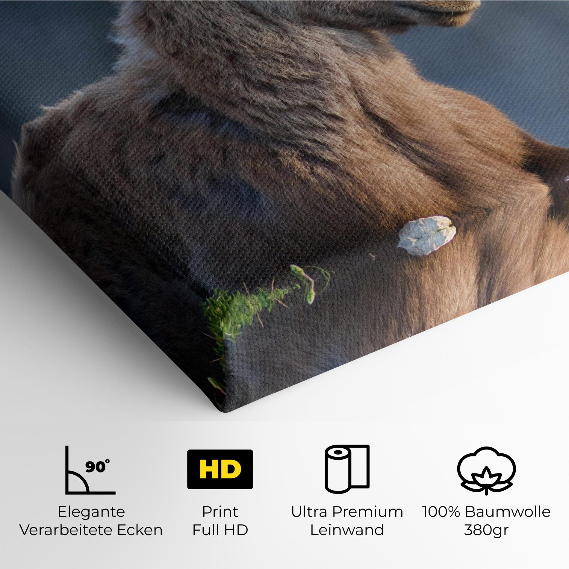 Leinwandbild Mountain Goat mockup 4