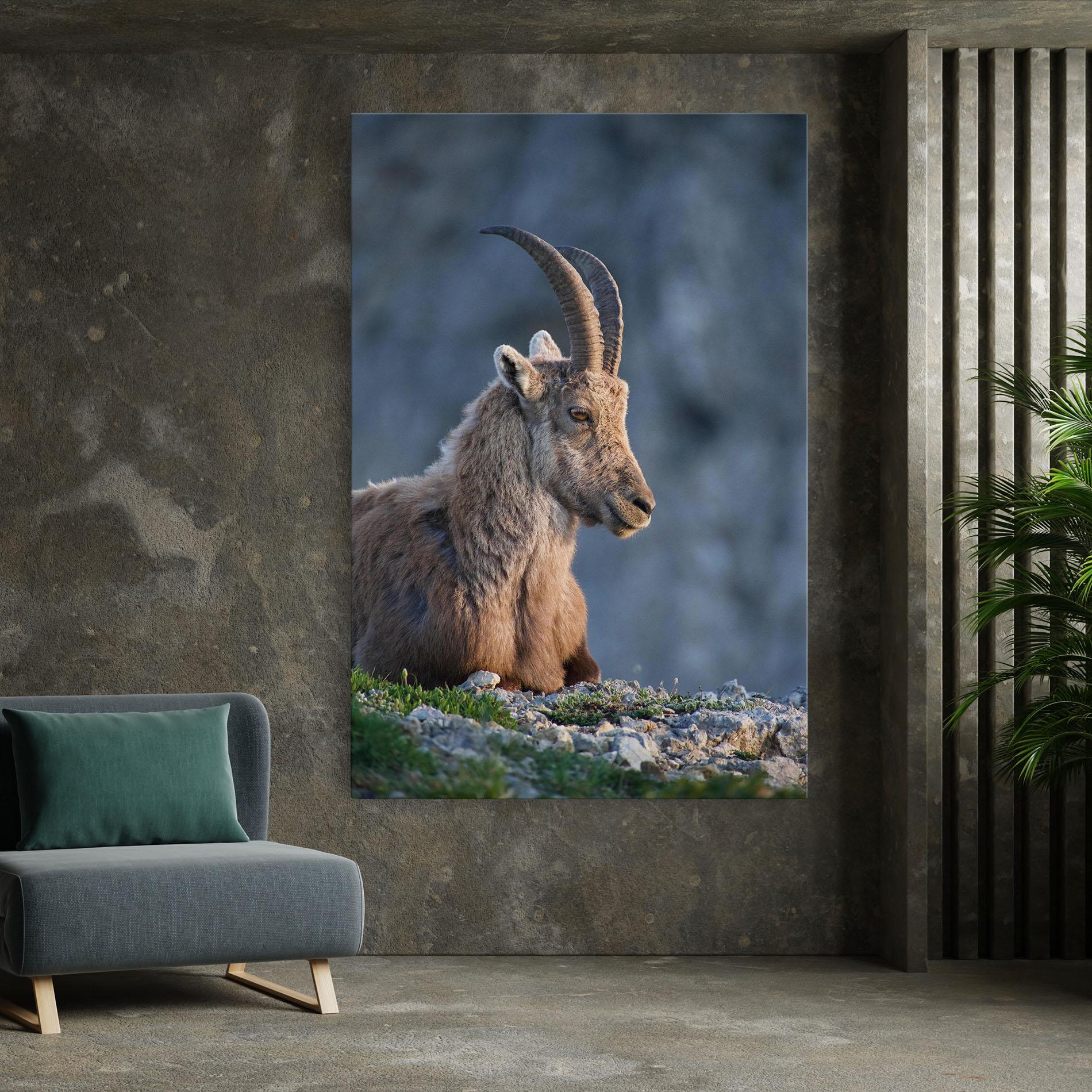Leinwandbild Mountain Goat mockup 7