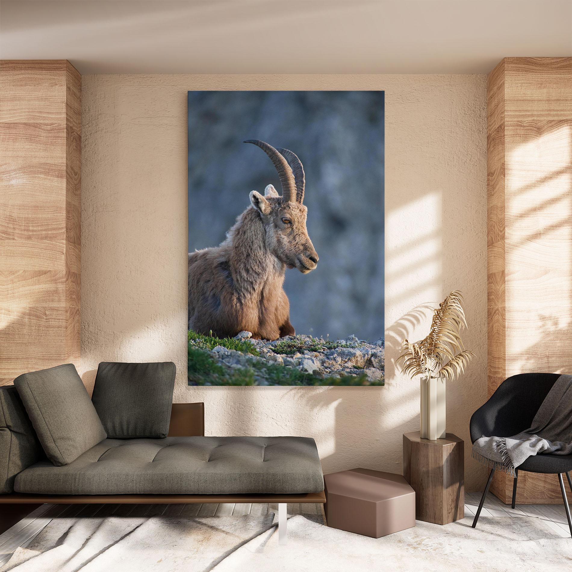 Leinwandbild Mountain Goat mockup 8