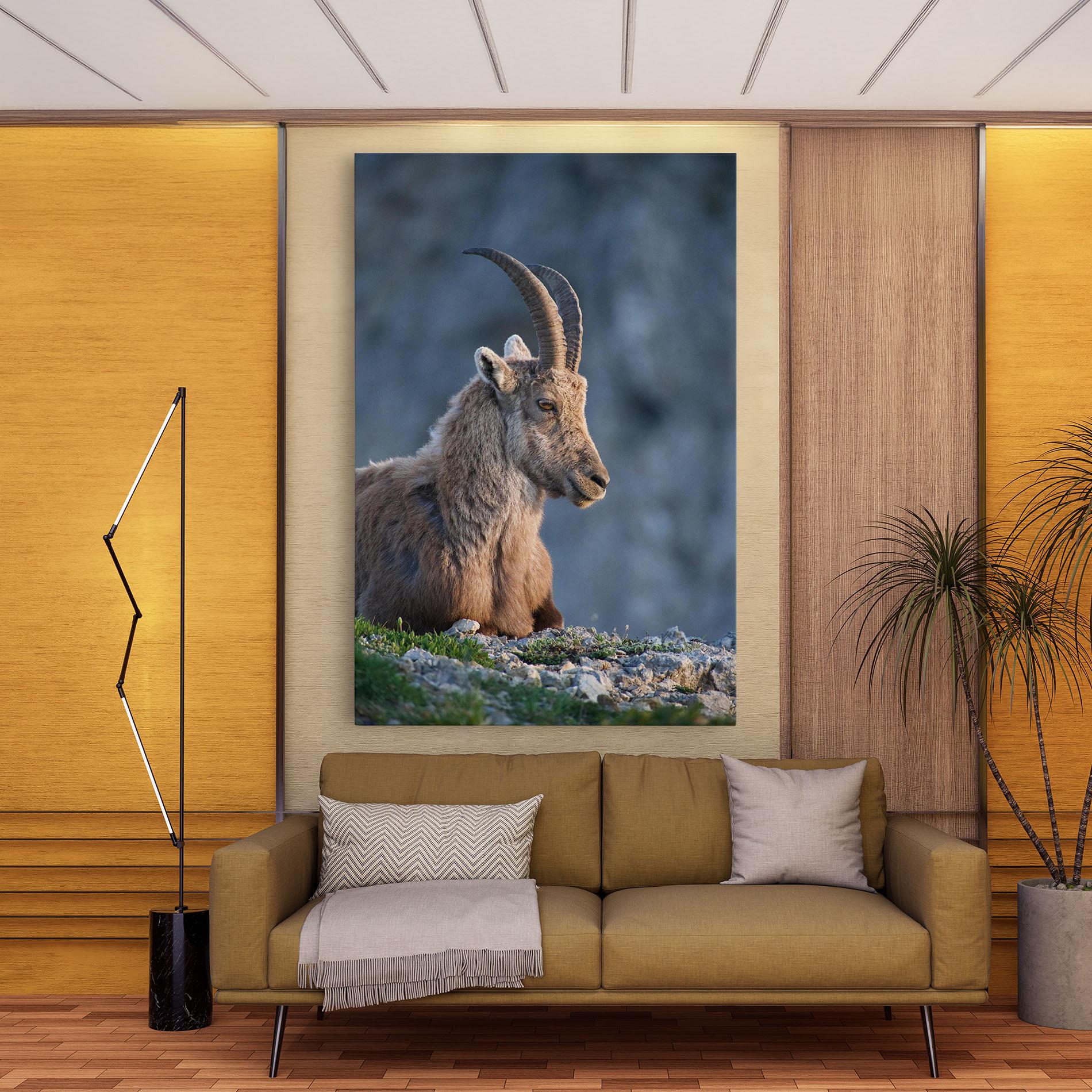 Leinwandbild Mountain Goat mockup 9