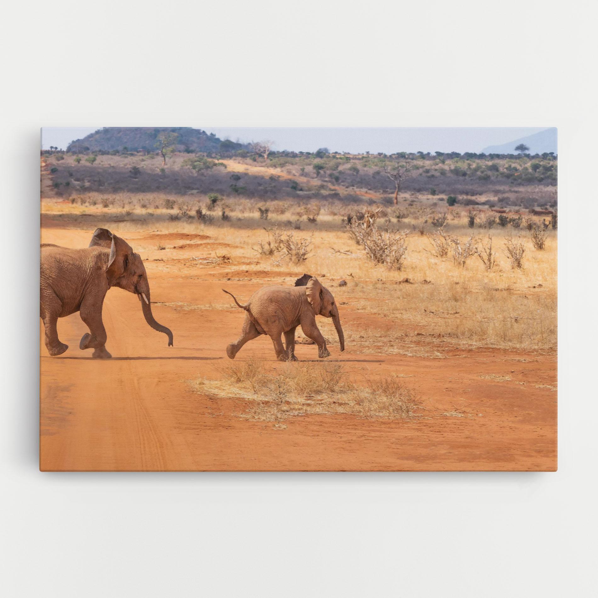 Leinwandbild Desert Safari mockup 0