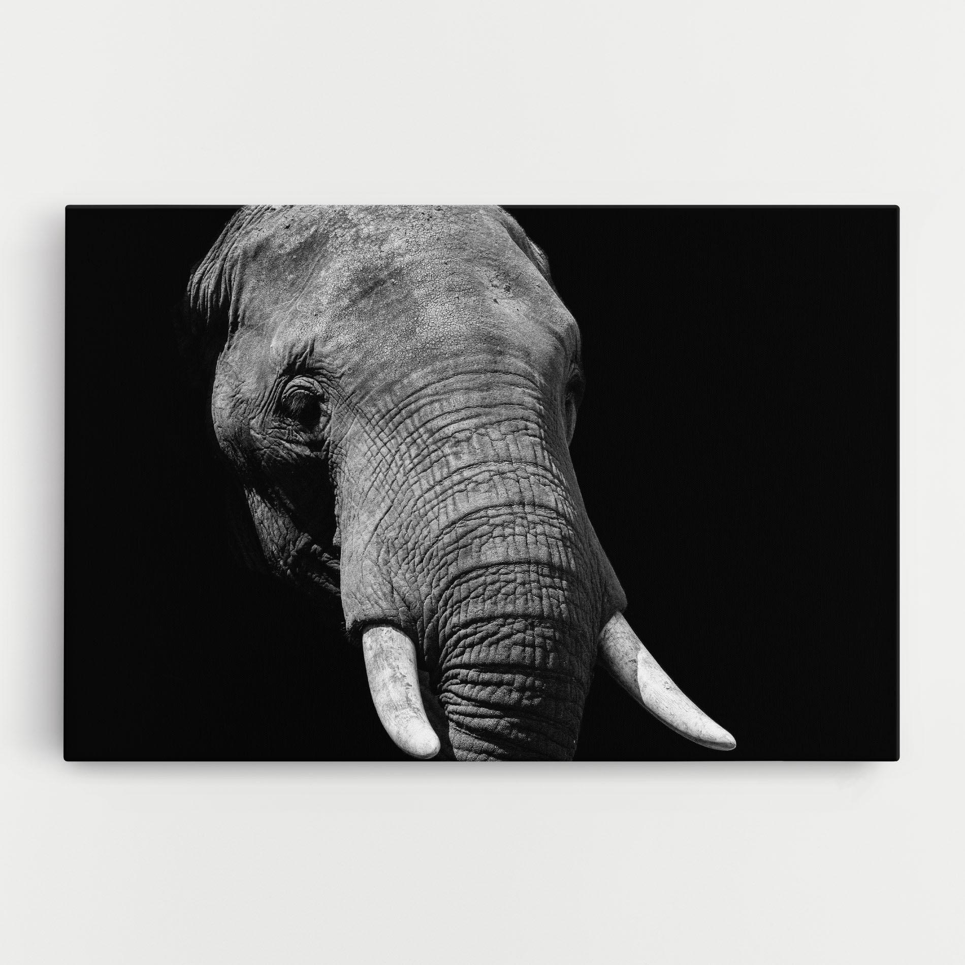 Leinwandbild Shadow Elephant mockup 0