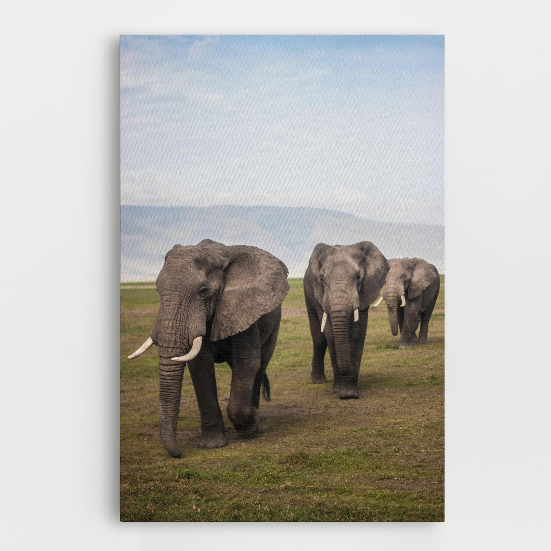 Leinwandbild Elephant Landscape mockup 0