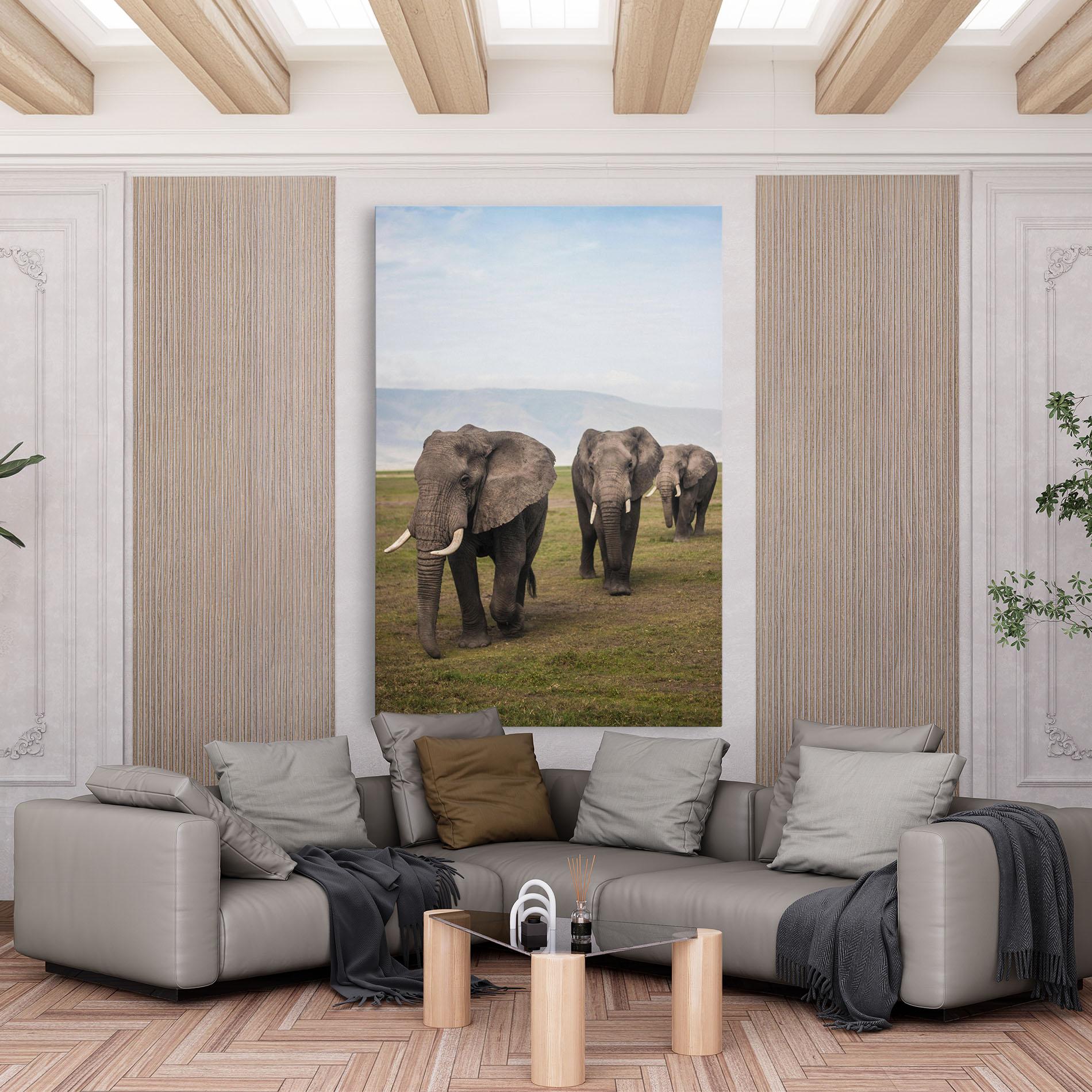 Leinwandbild Elephant Landscape mockup 6