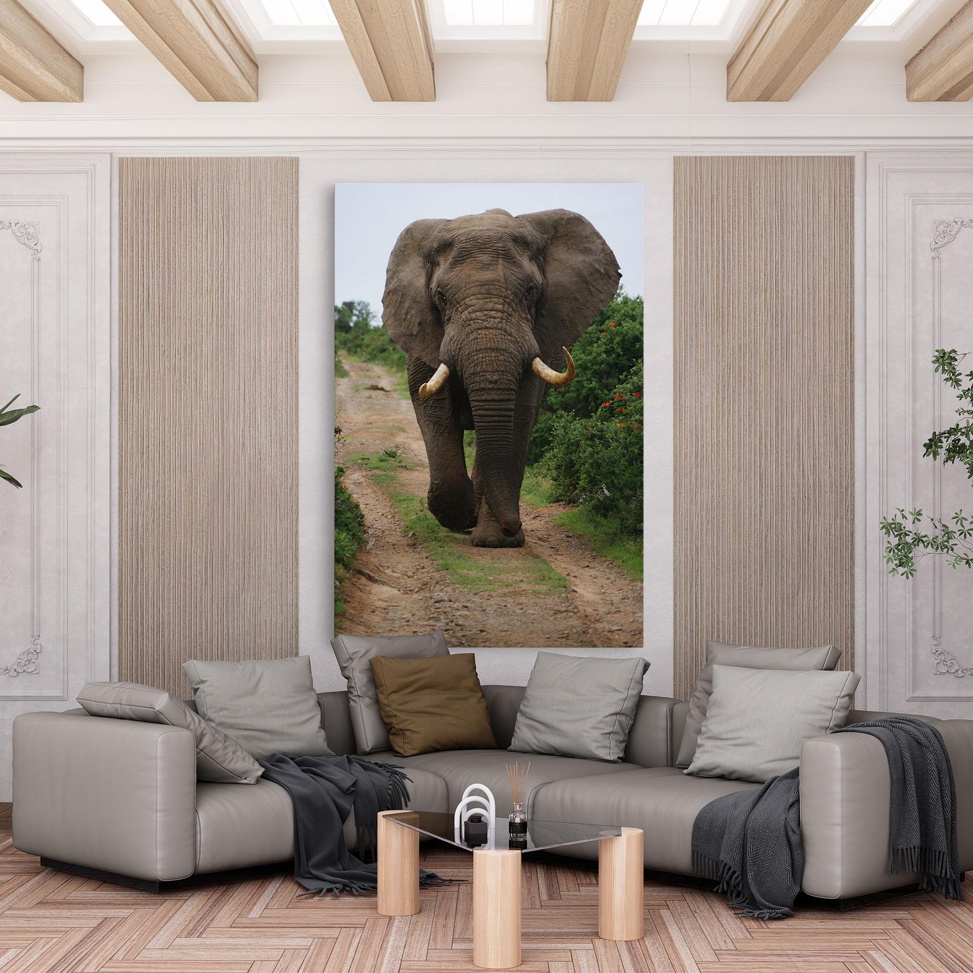 Leinwandbild Elephant Safari mockup 6